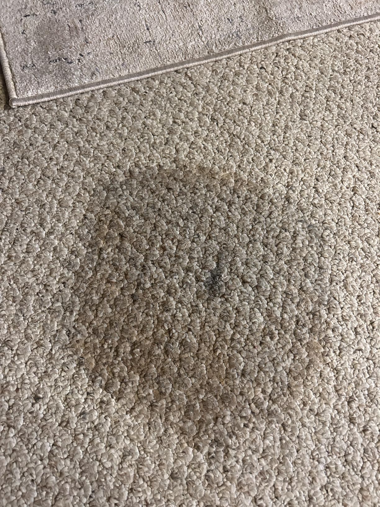 Hoover CleanSlate XL Deep Cleaning Carpet + Upholstery Spot Cleaner Machine with Specialized Tools, Permanent Stain Remover, Pair with Hoover Portable Spot Cleaner Solution - Customer Photo 2