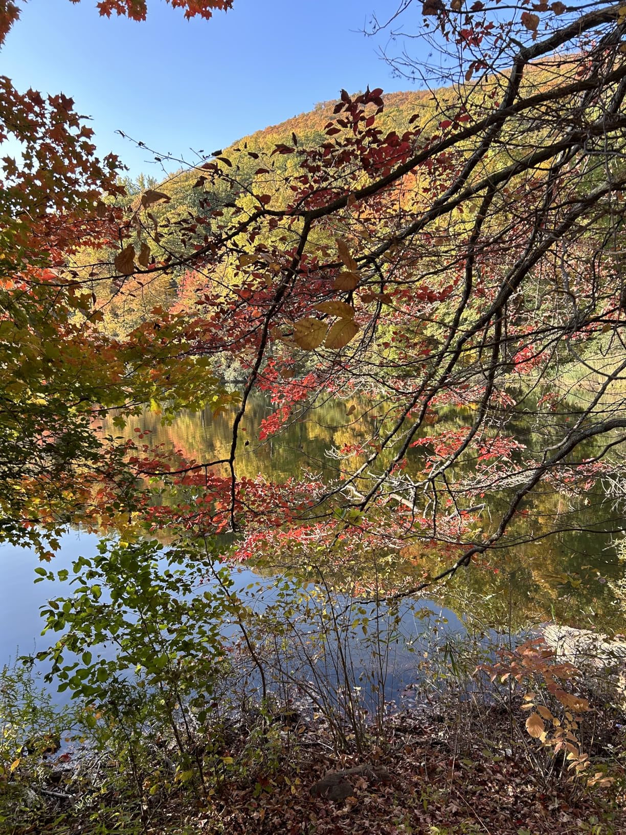 HOVERAir X1 Drone with Camera, Self-Flying Camera Drone with Follow Me Mode, Foldable Mini Drone with HDR Video Capture, Palm Takeoff, Intelligent Flight Paths, Hands-Free Control Black (Combo) customer photo 2