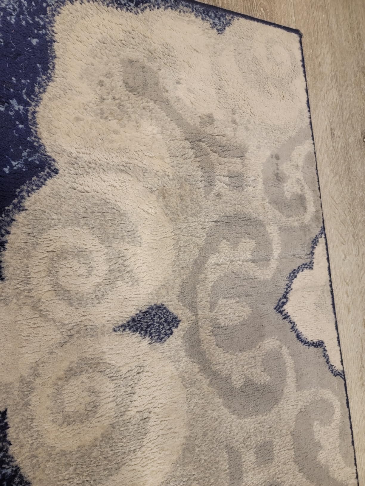 BISSELL TurboClean Pet XL Upright Carpet Cleaner, Upholstery Tough Stain Tool & Formula included, 3746 - Customer Photo 3