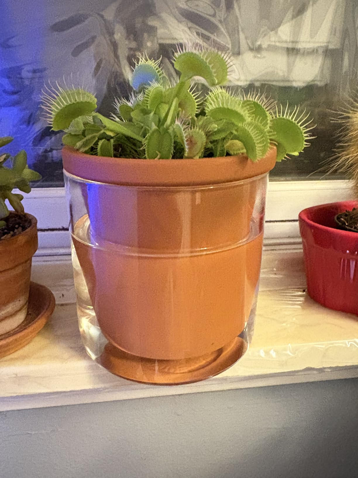 D'vine Dev 8 Inch Design Self Watering Planter for Indoor Plants, White Terracotta Pots with Cylinder Glass Cup - Customer Photo 1