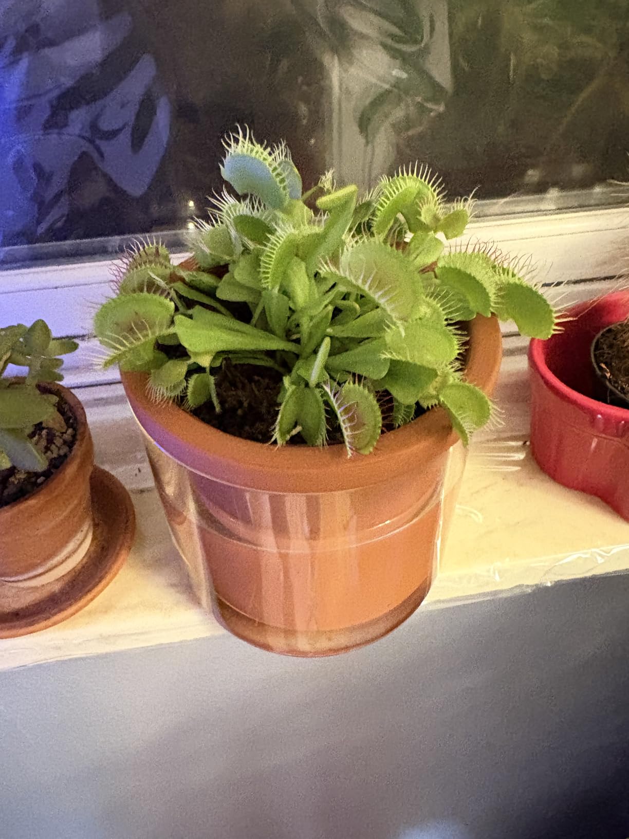 D'vine Dev 8 Inch Design Self Watering Planter for Indoor Plants, White Terracotta Pots with Cylinder Glass Cup - Customer Photo 2