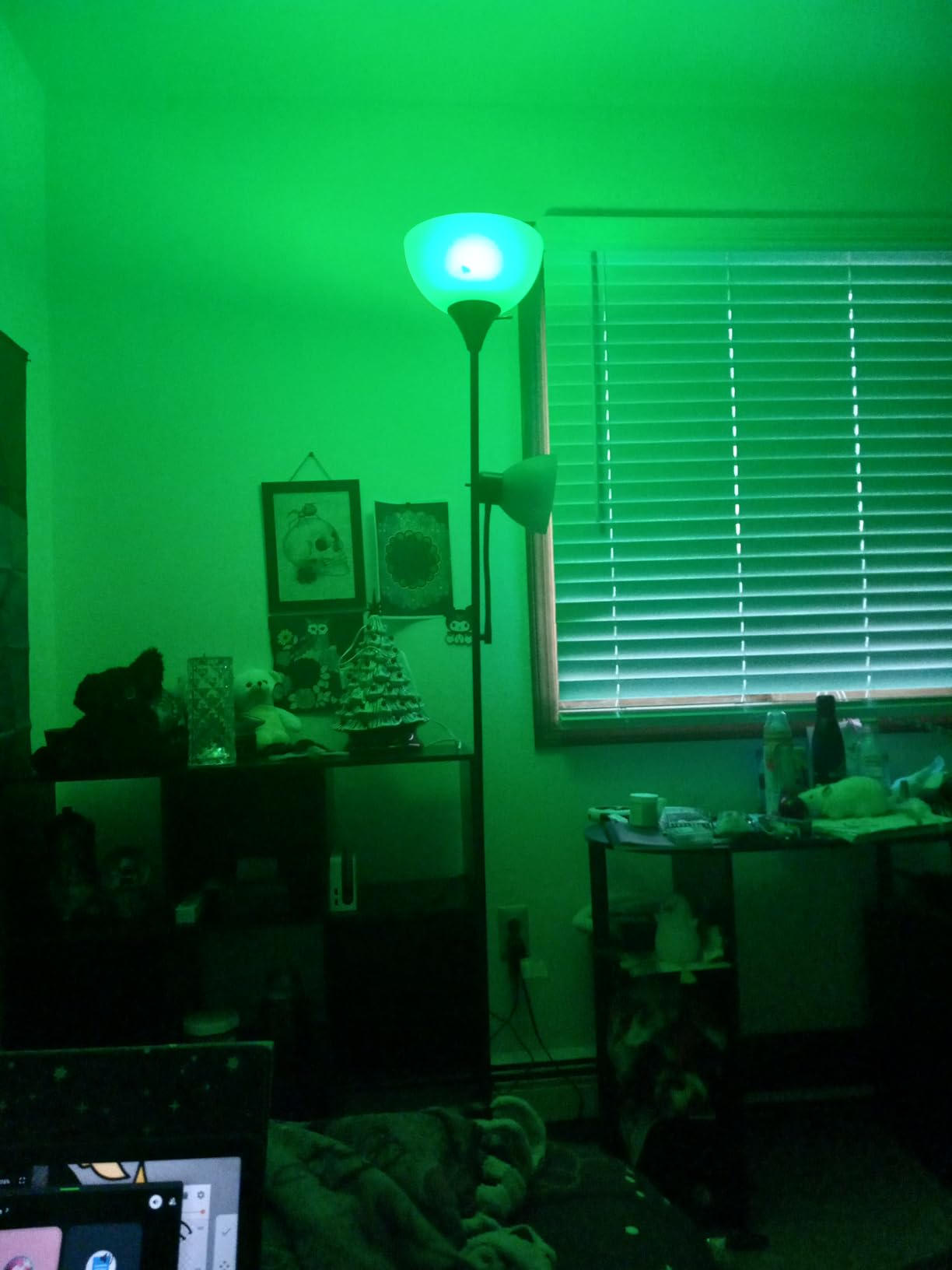 Amazon Basics Smart A19 LED Light Bulb, Color Changing, 9W (60W Equivalent), 800LM, Works with Alexa Only, 2.4 GHz Wi-Fi, No Hub Required, 1 Pack - Customer Photo 1