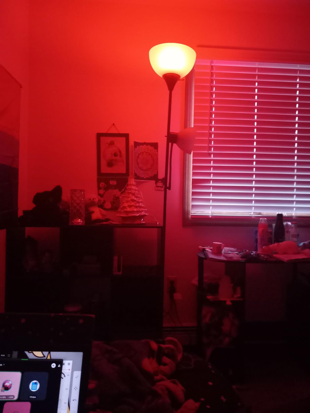 Amazon Basics Smart A19 LED Light Bulb, Color Changing, 9W (60W Equivalent), 800LM, Works with Alexa Only, 2.4 GHz Wi-Fi, No Hub Required, 1 Pack - Customer Photo 3