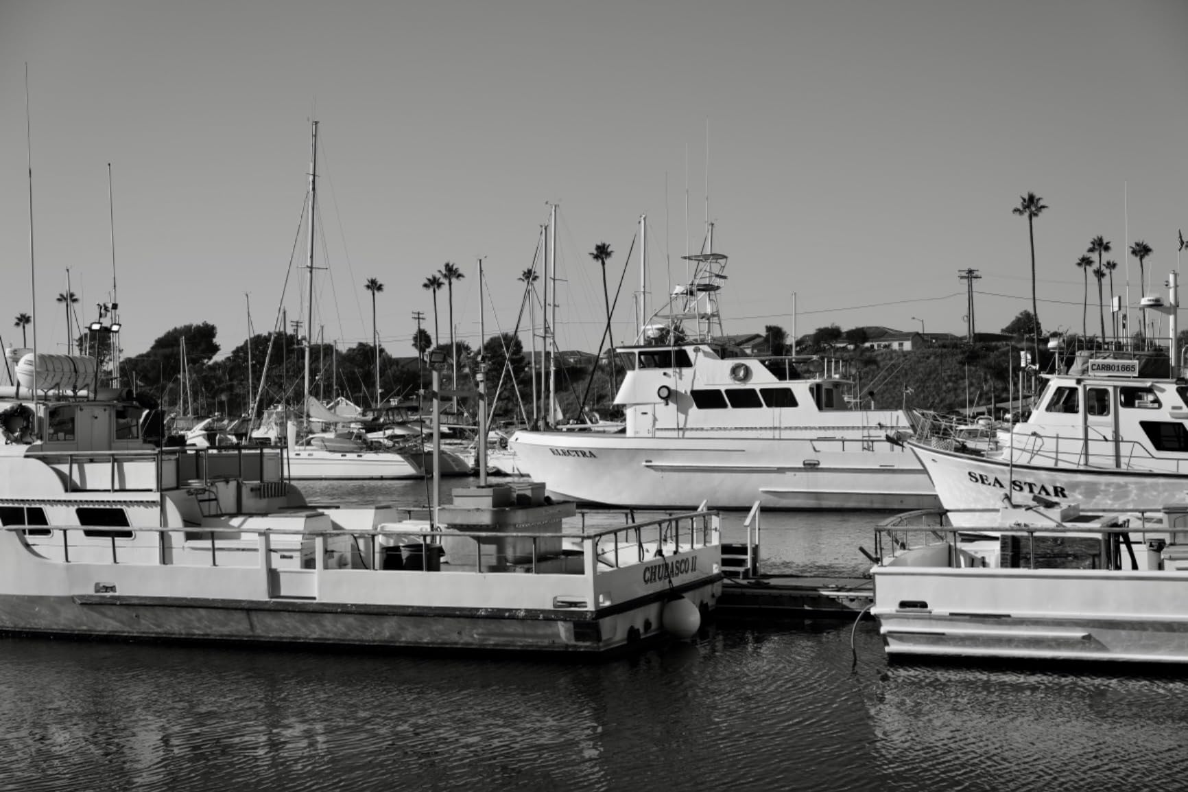 Alpha 7CR Full-Frame Interchangeable Lens Hybrid Camera - Black customer photo 1