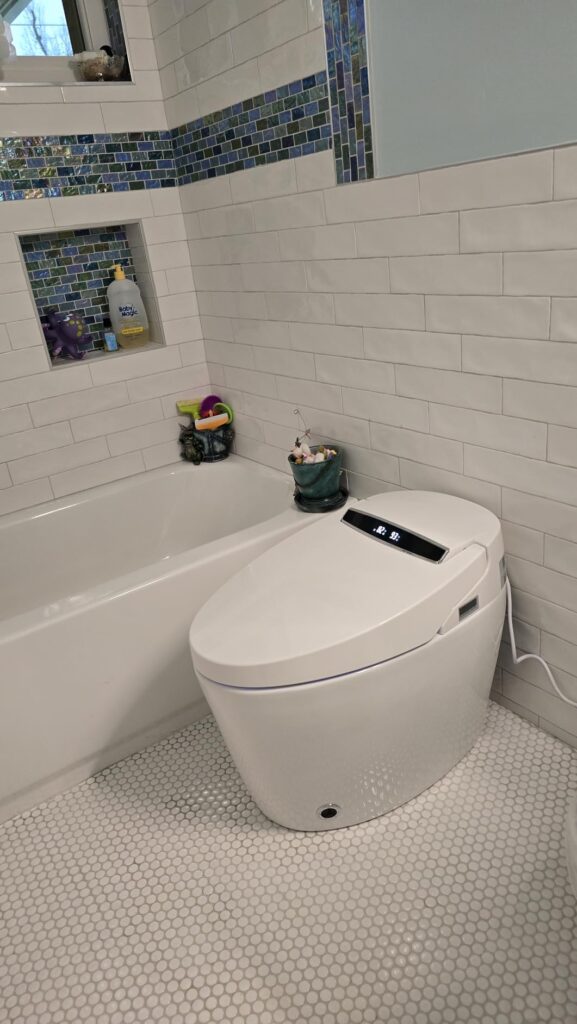 Best Smart Toilets with Bidets