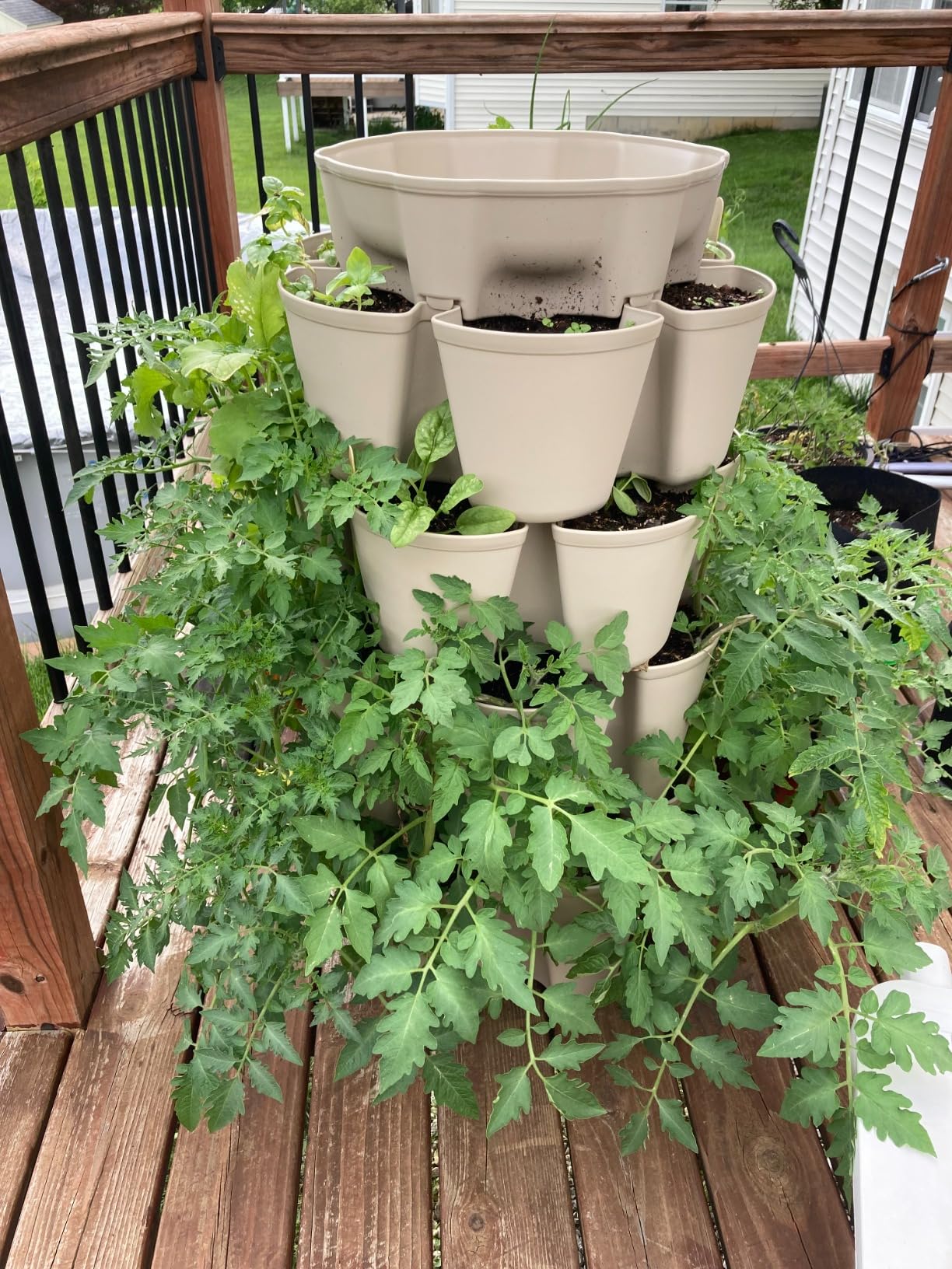 Greenstalk Patented Large 5 Tier Vertical Garden Planter with Patented Internal Watering System Great for Growing a Variety of Strawberries, Vegetables, Herbs, & Flowers (Evergreen) - Customer Photo 1
