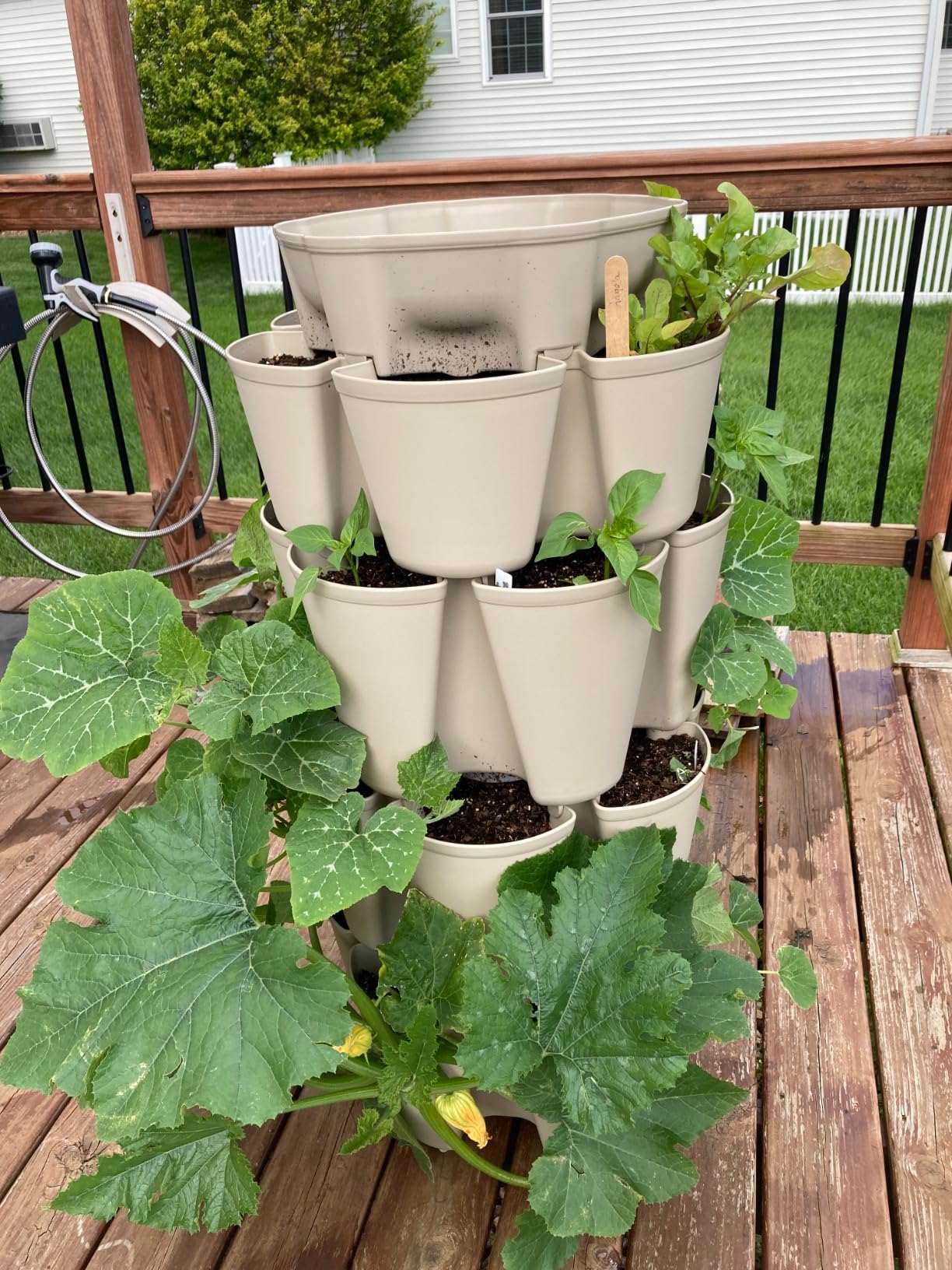 Greenstalk Patented Large 5 Tier Vertical Garden Planter with Patented Internal Watering System Great for Growing a Variety of Strawberries, Vegetables, Herbs, & Flowers (Evergreen) - Customer Photo 2