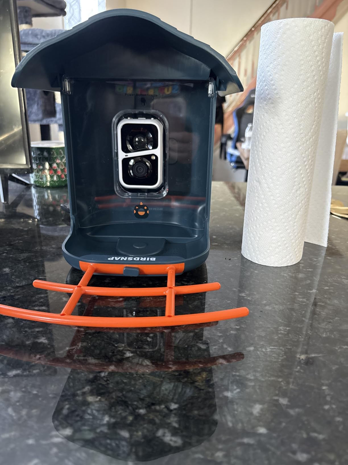 birdsnap® PAV Bird Feeder with Camera Solar Powered 2K Live Video 32GB Card customer photo 2