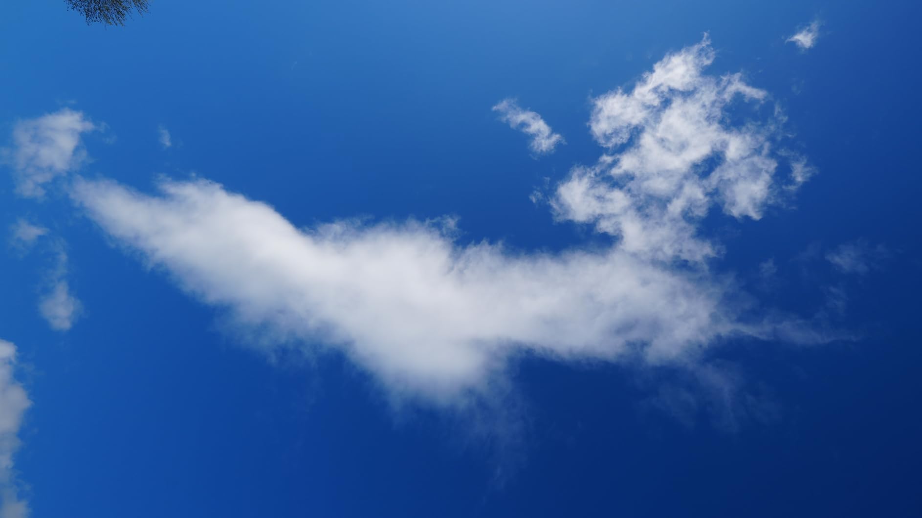 Sigma 10-18mm F2.8 DC DN Contemporary Lens for Sony E Mount - Ultra Wide-Angle Zoom - Customer Photo 1