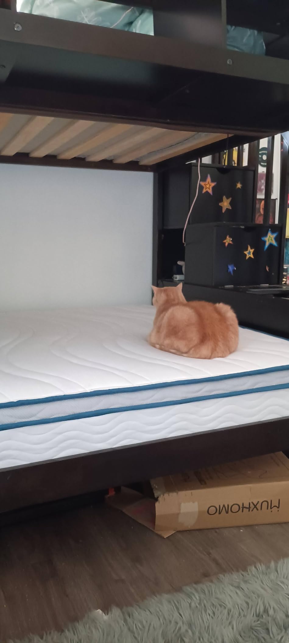 ZINUS 12 Inch Comfort Support Hybrid Mattress [New Version], Queen, Fiberglass Free, Medium Plush, Motion Isolation, Certified Safe Foams & Fabric, Mattress in A Box - Customer Photo 1