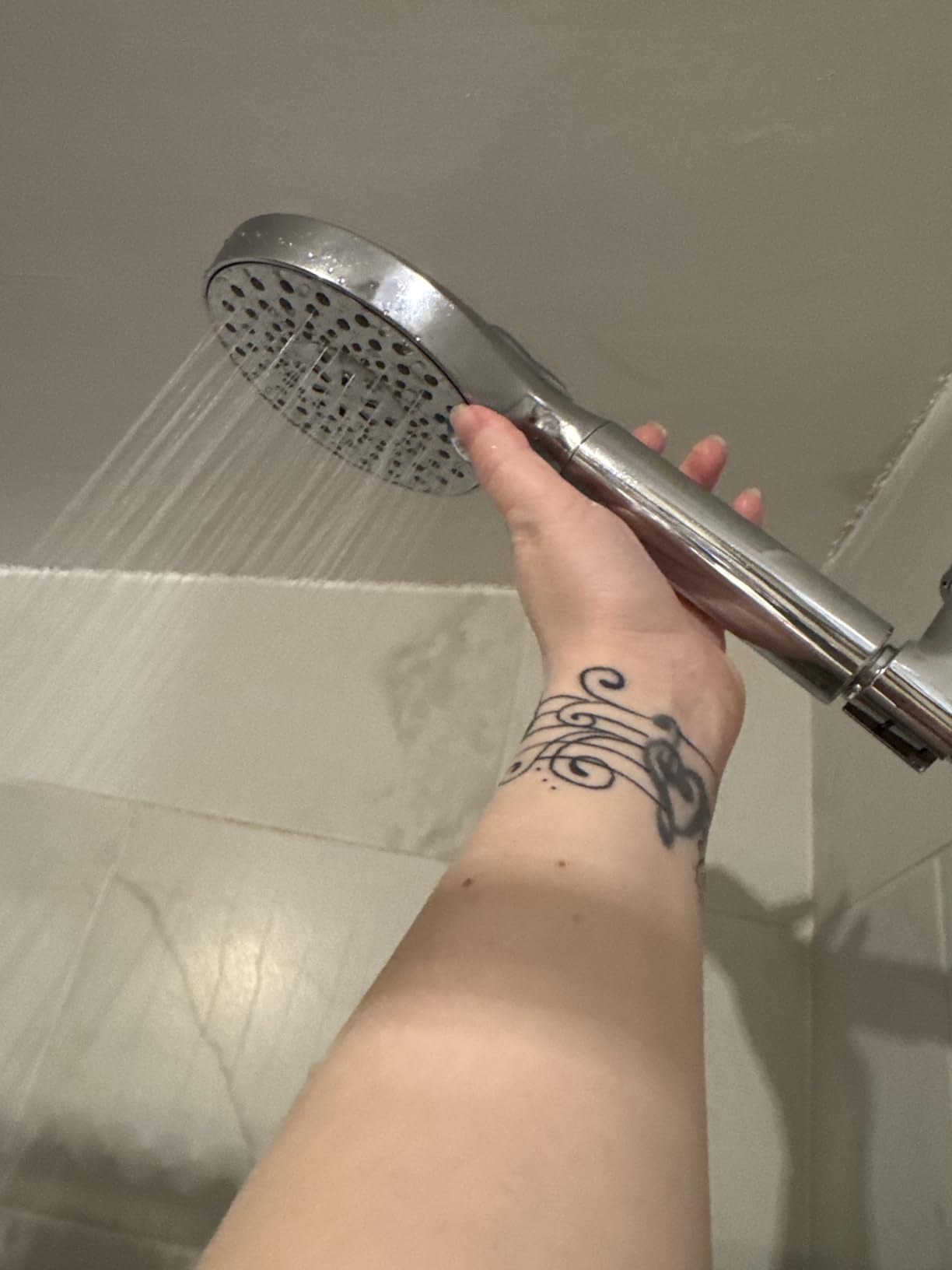 SR SUN RISE Filtered Shower Head with Handheld High Pressure 9 Spray Mode Showerhead Detachable Shower Head Water Softener Filters Beads for Hard Water Remove Chlorine 1 Filter Chrome - Customer Photo 1