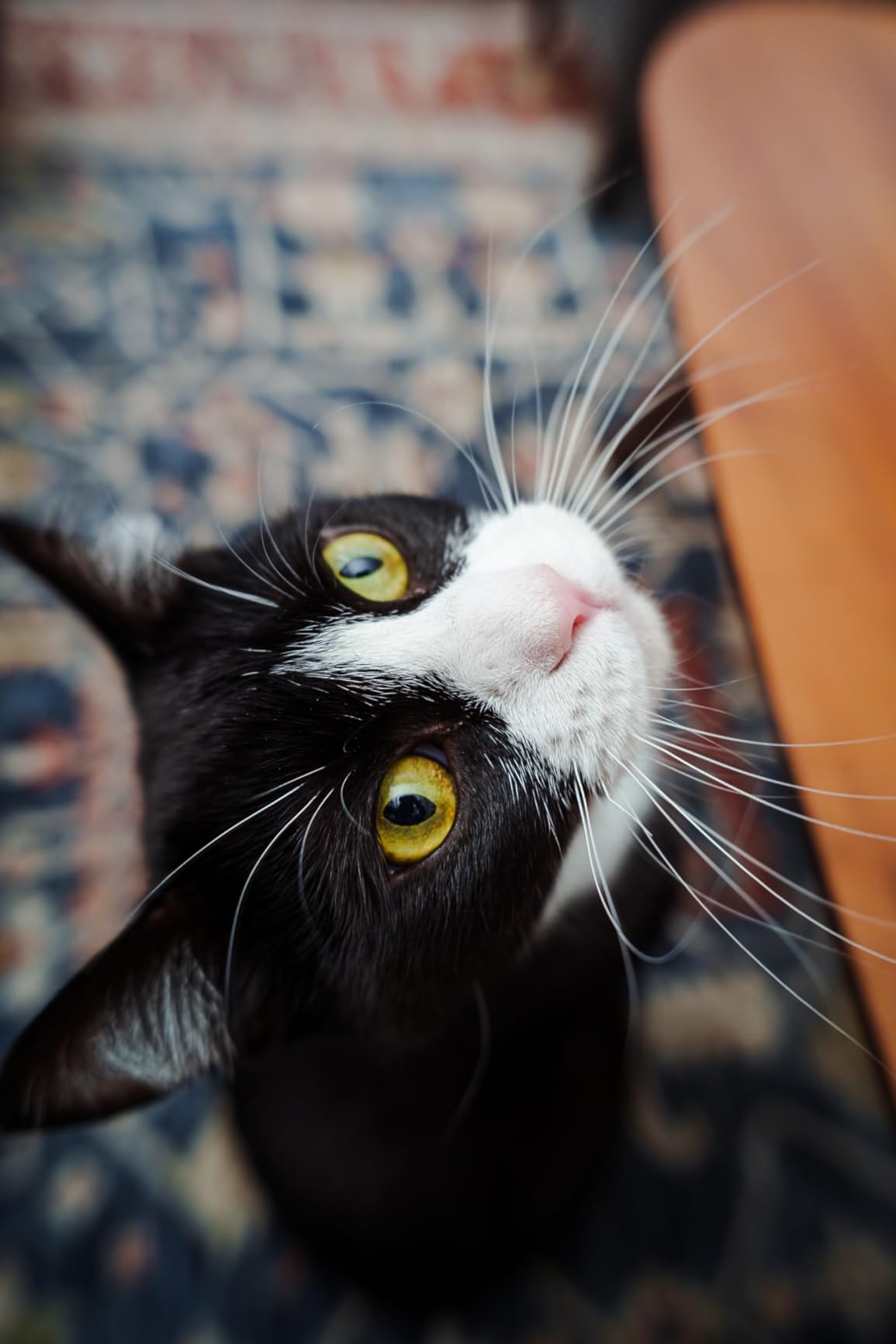 VILTROX 20mm f2.8 FE, 20mm f/2.8 e-Mount Full Frame AF Lens for Sony e Mount, Prime Wide Angle Lens - Customer Photo 2