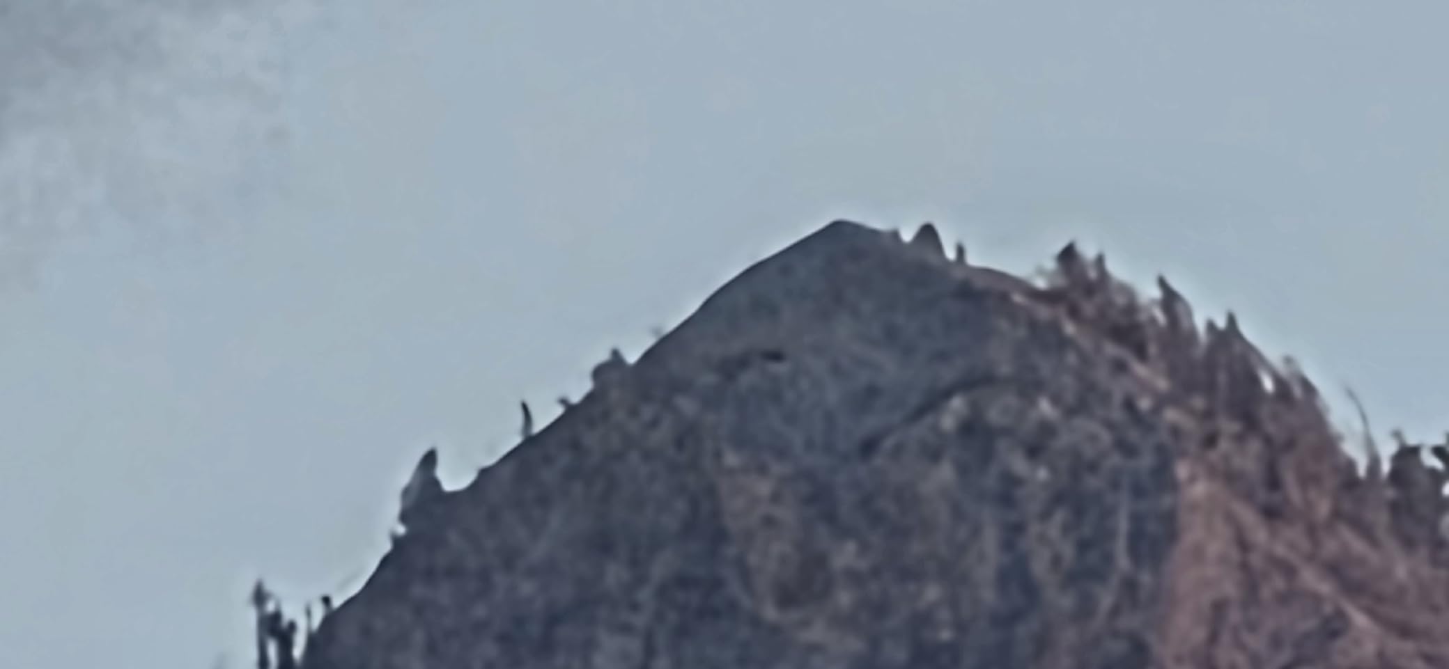 Canon RF200-800mm F6.3-9 is USM Super-telephoto Zoom Lens, Mirrorless, Powerful Zoom Range, Comfortable Handheld Shooting, for Wildlife, Nature, Outdoor Sports, Compact & Lightweight - Customer Photo 2