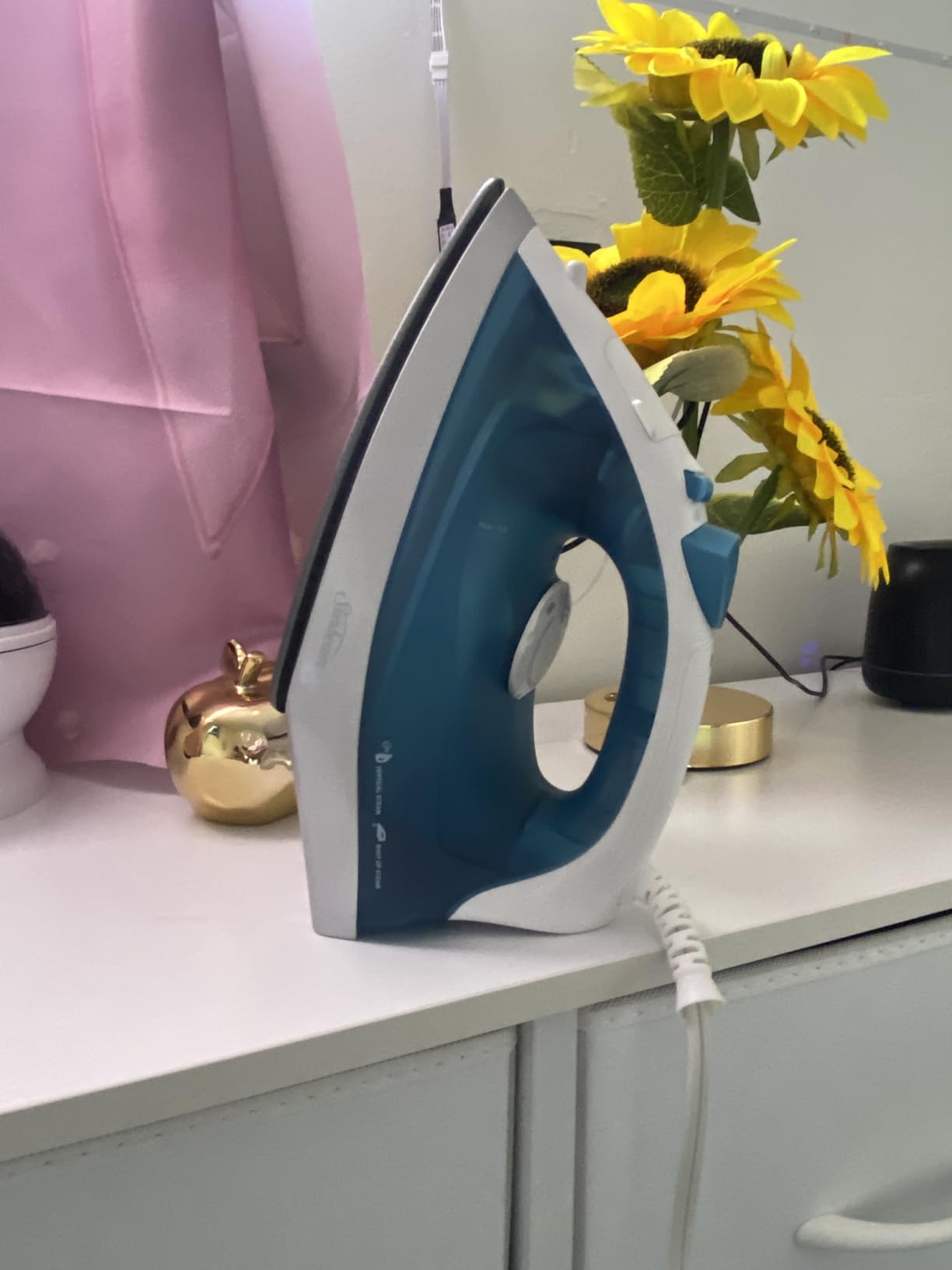 Sunbeam Compact Steam Iron, 1200 Watts, Non-Stick Soleplate, Powerful Shot of Steam, Horizontal or Vertical, Spray Mist, Precision Tip, White/Blue - Customer Photo 1
