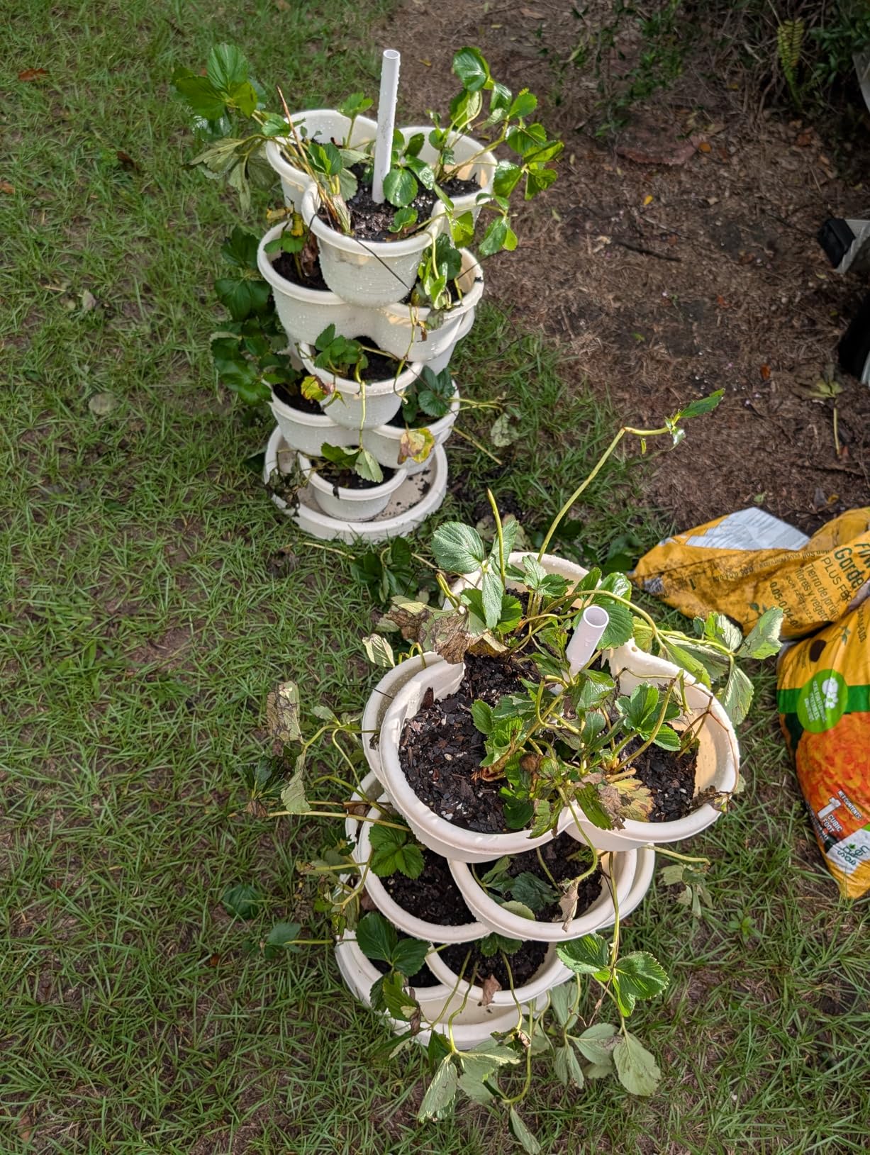 Hourleey Strawberry Planter, 5 Tier Stackable Gaden Tower for Flowers, Vegetables, Grow Your Own Herb Garden Vertical Oasis of Vegetables and Succulents - Customer Photo 1