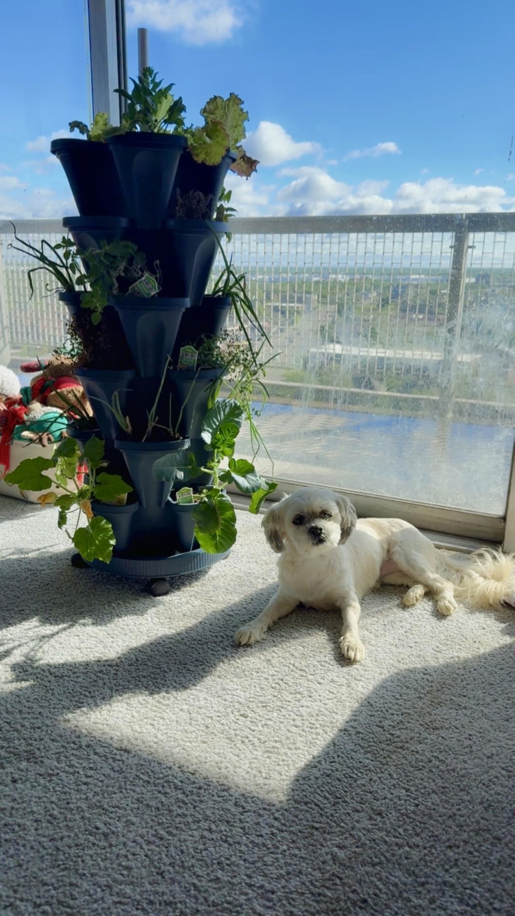 Hourleey Strawberry Planter, 5 Tier Stackable Gaden Tower for Flowers, Vegetables, Grow Your Own Herb Garden Vertical Oasis of Vegetables and Succulents - Customer Photo 2