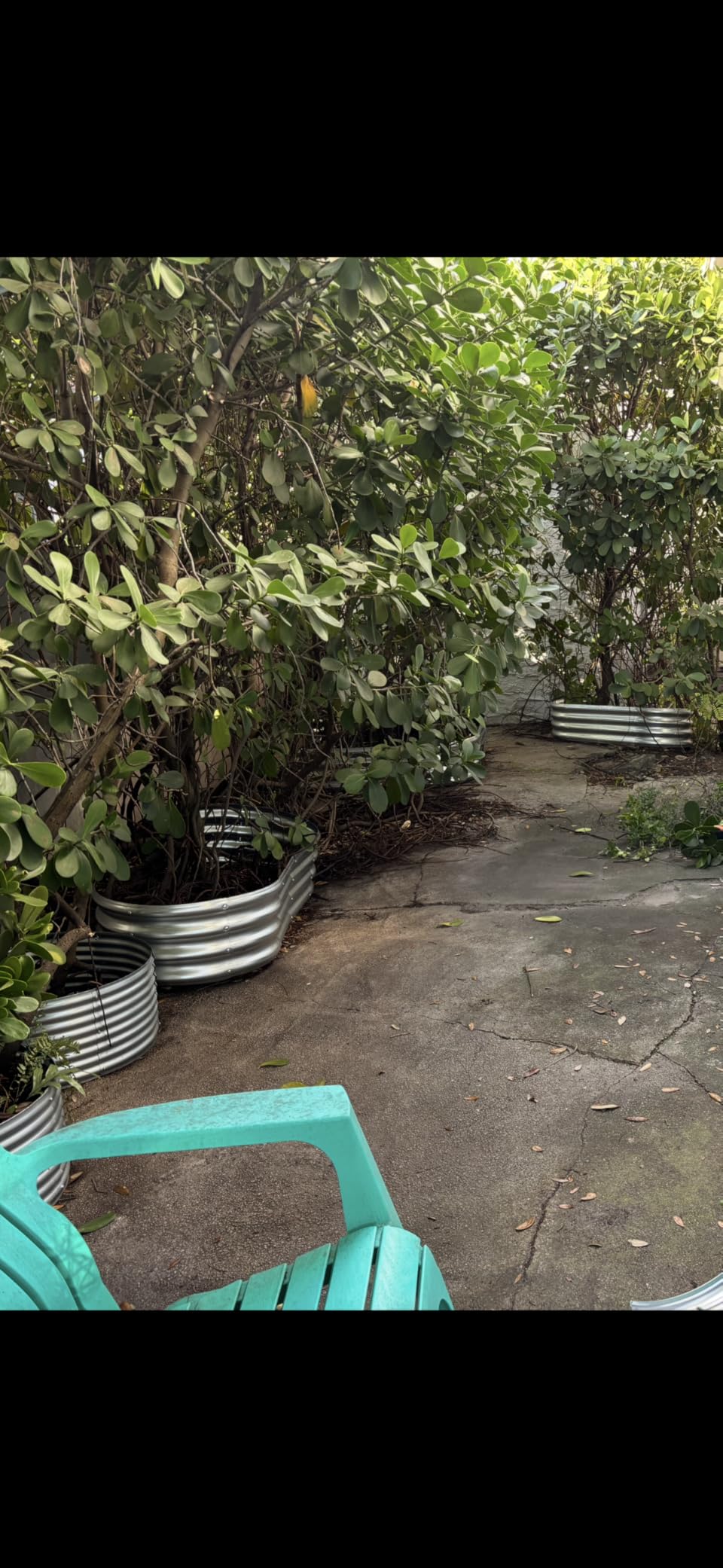 JERIA Raised Garden Bed, Galvanized Raised 2 Pcs 4x2x1ft Planter Boxes Outdoor with Easy Assembly, Large Garden Bed for Vegetables, Fruits, Flower - Customer Photo 2