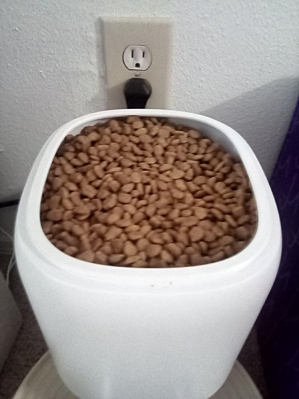 Automatic Cat Feeder with Camera - 5G WiFi Auto Cat Food Dispenser, 1080P HD Video with Night Vision, 1-15 Meals, 1-99 Portions, 2-Way Audio, Keeps Food Fresh, Timed Pet Feeder Also for Dogs - Customer Photo 2