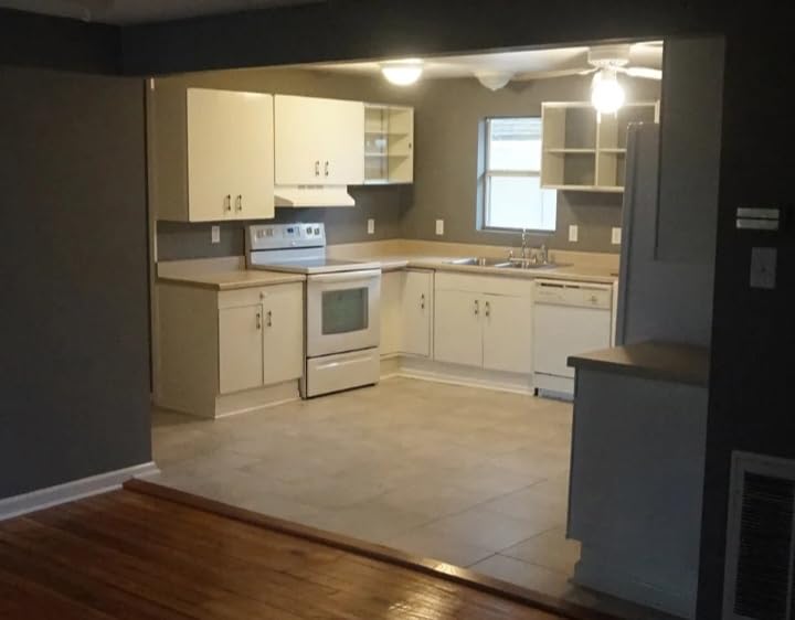 MaXpray M1 Airless Paint Sprayer, Highly Efficient Thinning-Free Minimal Overspray for Up to 10 Gallon DIY Painting Projects Home Interior & House Exterior, Comes with Sprayer Accessories - Customer Photo 4