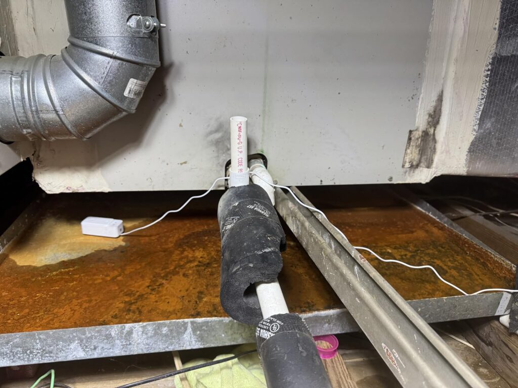 best smart water leak detectors 