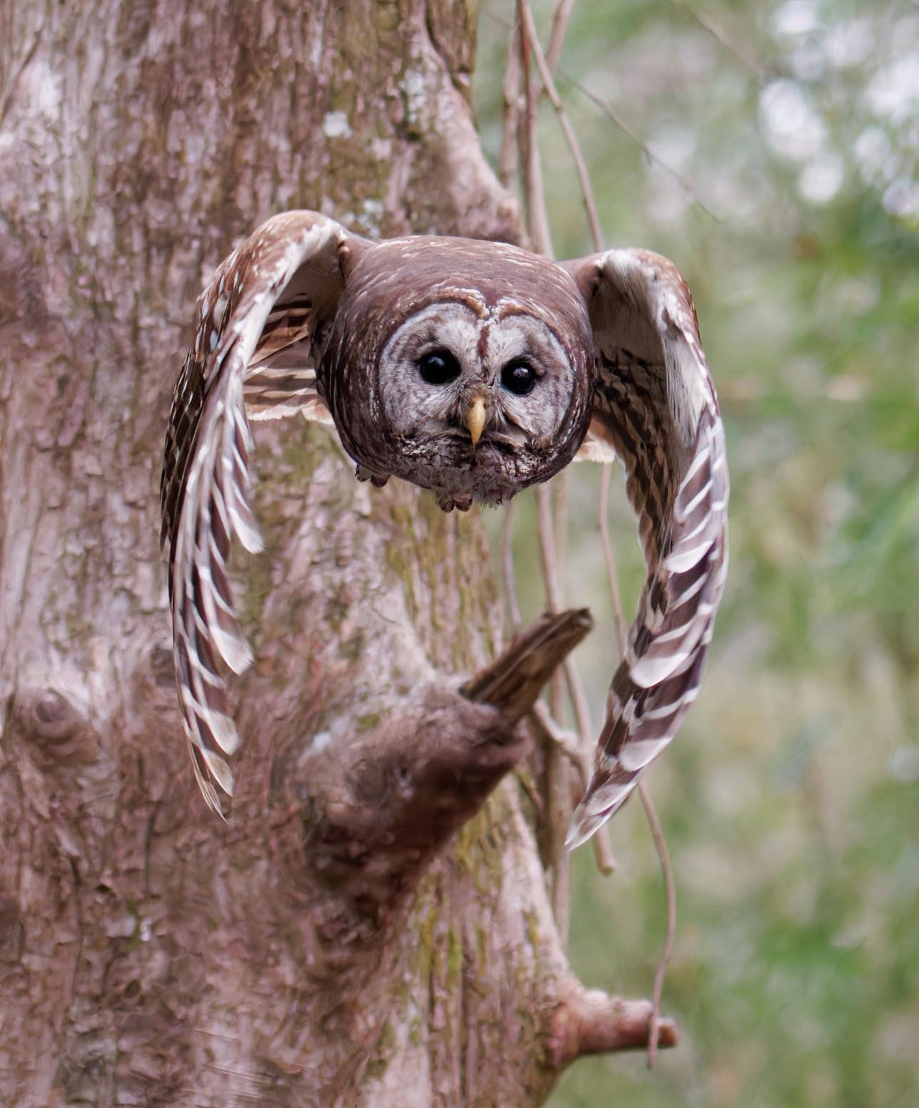 OM SYSTEM Olympus M.Zuiko Digital ED 150-600mm F5.0-6.3 IS for Micro Four Thirds System Camera customer photo 2