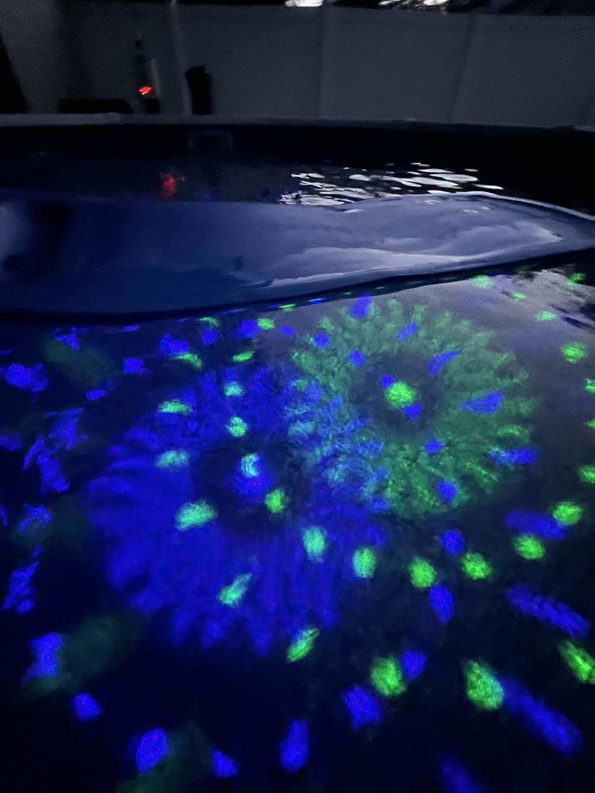 FirstE Solar Floating Pool Lights, RGB Color Changing Pool Floating Lights, Hangable IP68 Waterproof Solar Pool Light That Float for Pool Wedding Path Party Decoration, No Need Electric Wire - Customer Photo 1