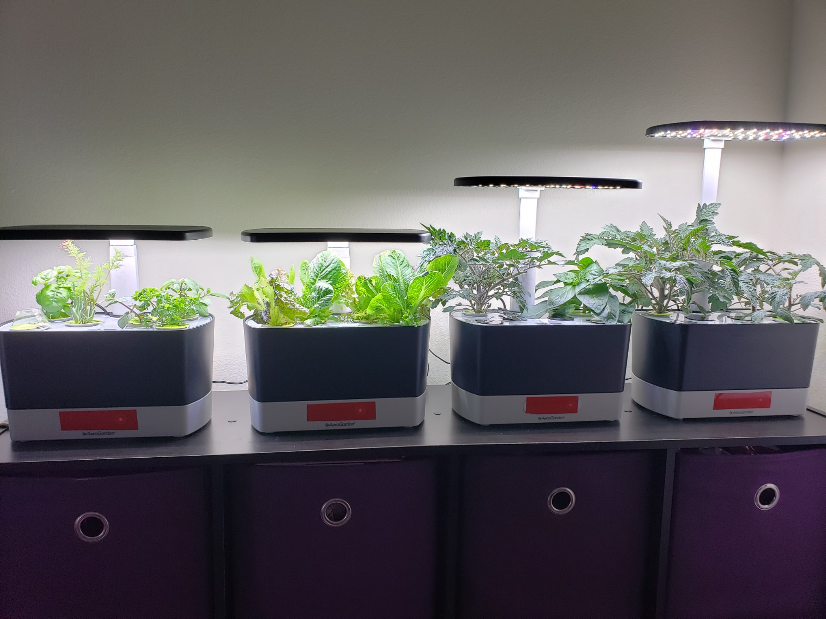 AeroGarden Harvest Lite, Soil-Free Indoor Hydroponic Garden with LED Grow Light for Year-Round Gardening of up to 6 Herbs and Vegetables - Customer Photo 1