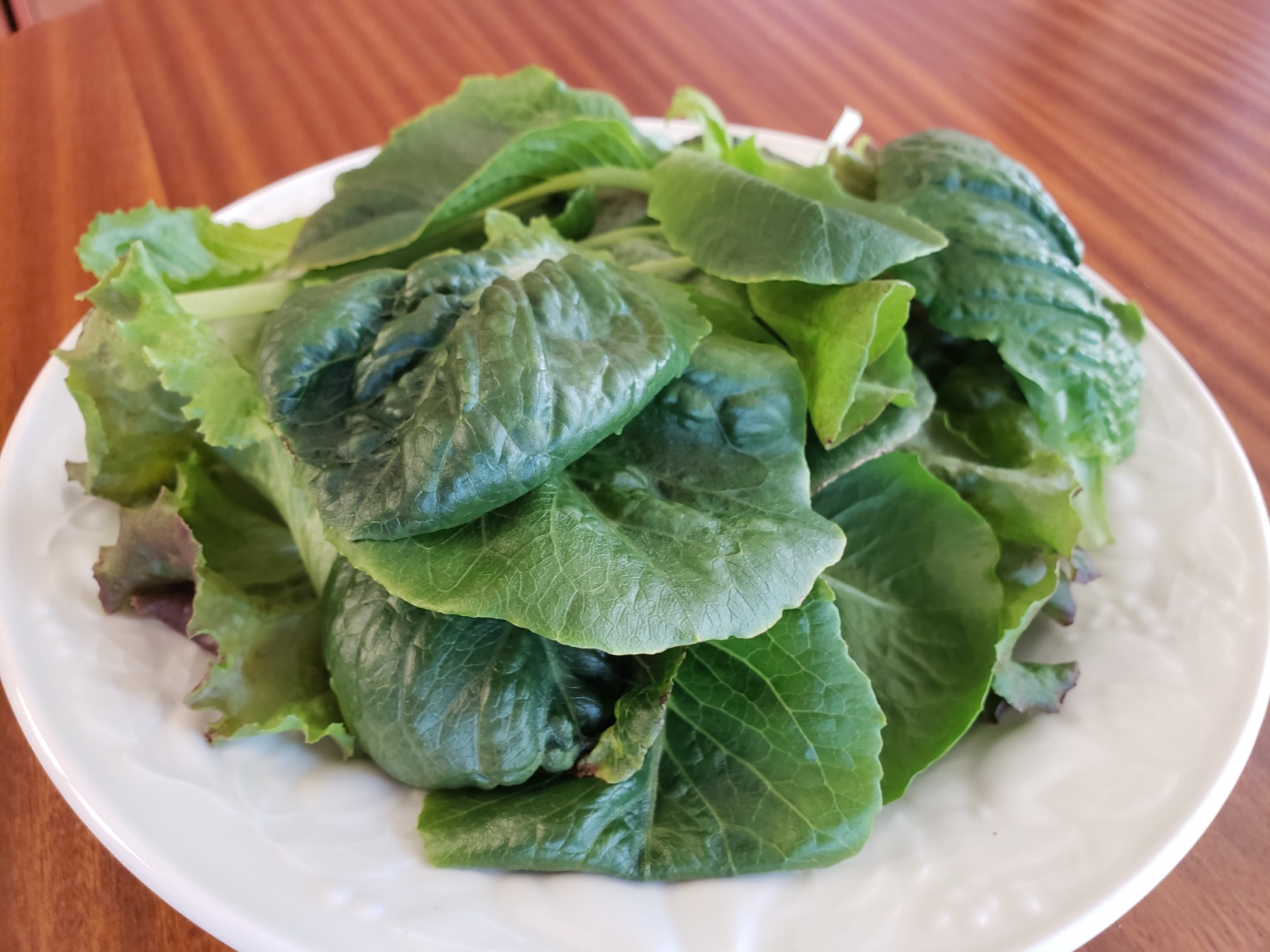 AeroGarden Harvest Lite in Cream, Soil-Free Indoor Hydroponic Garden with LED Grow Light for Year-Round Gardening of up to 6 Herbs and Vegetables - Customer Photo 3