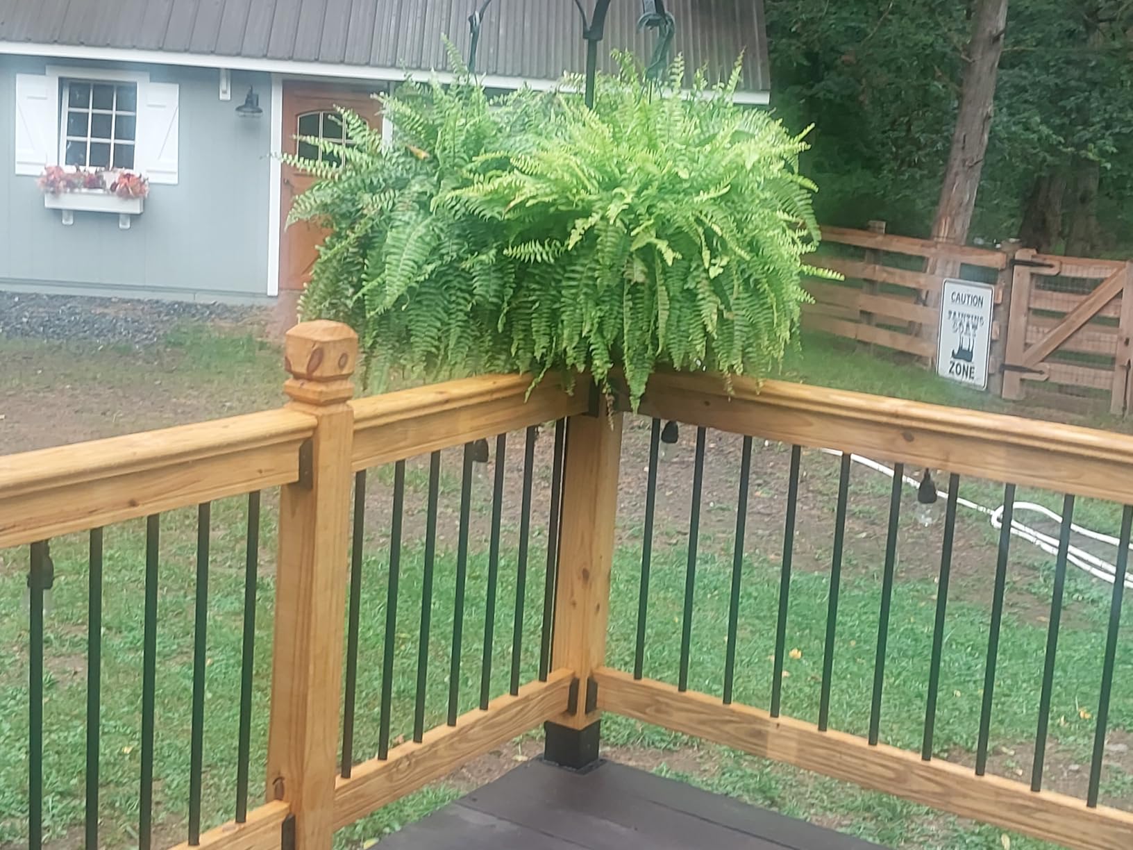 2 ft. x 4 ft. Sprig Umber Decorative Screen Panel - Customer Photo 2