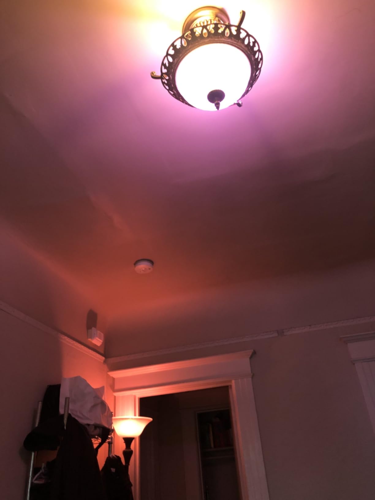 Linkind Matter Smart Light Bulb, 1600LM 100W Smart Bulbs Work with Alexa/Apple Home/Google Home/SmartThings, RGBTW LED Color Changing Bulbs Music Sync, 2.4GHz Wi-Fi Light Bulbs LED 11W, A21 E26, 4Pack - Customer Photo 3