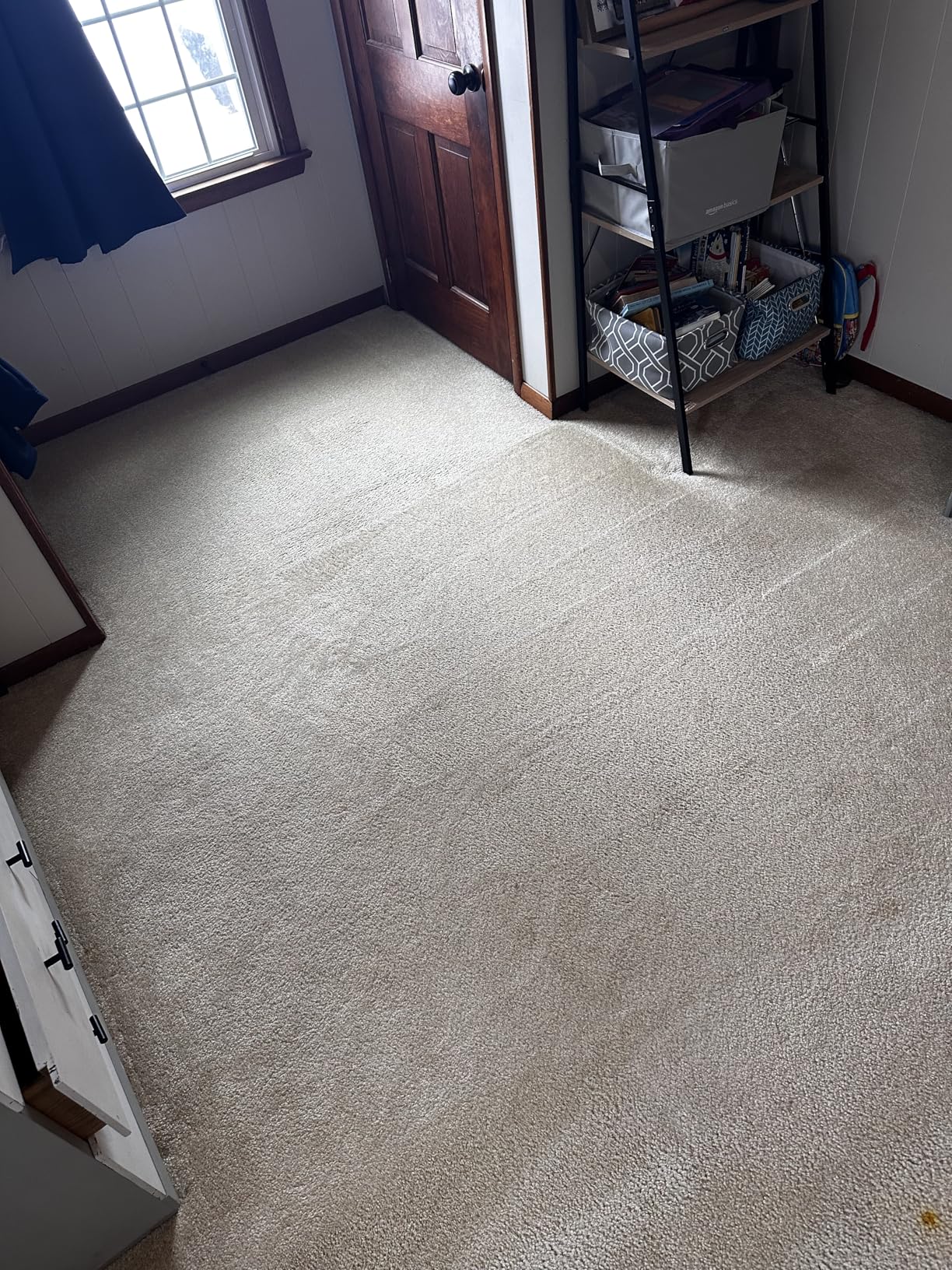 Shark CarpetXpert Upright Carpet & Area Rug Cleaner, Perfect for Pets, Lightweight & Powerful, Dirt, Grime, & Odor Removal, Carpet Shampooer, Cleaning Solution, Blue, EX121BRN - Customer Photo 4