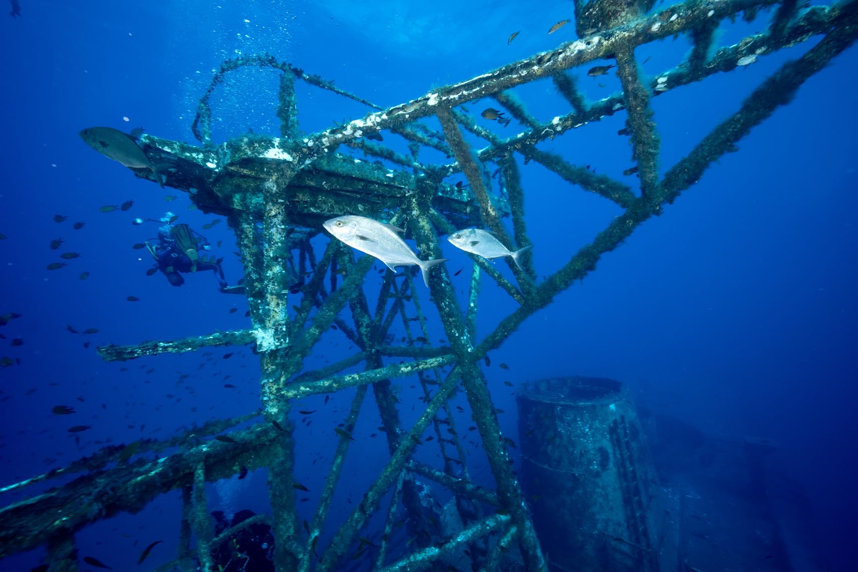 Laowa 10mm f/2.8 Zero-D Full-Frame Lens with Ultra Wide-Angle View (Nikon Z with Auto Focus) - Customer Photo 2