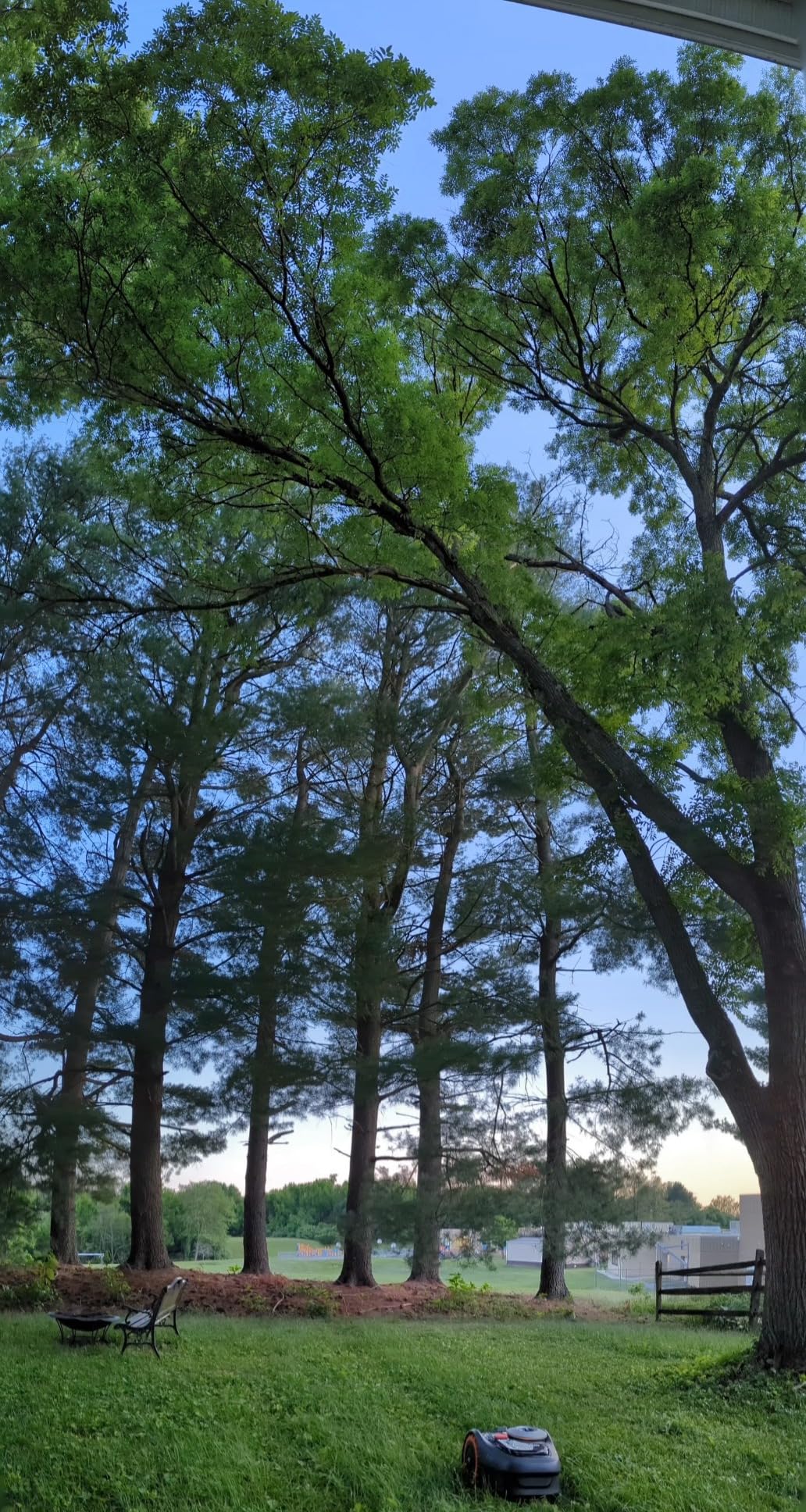 Product - Customer Photo 1