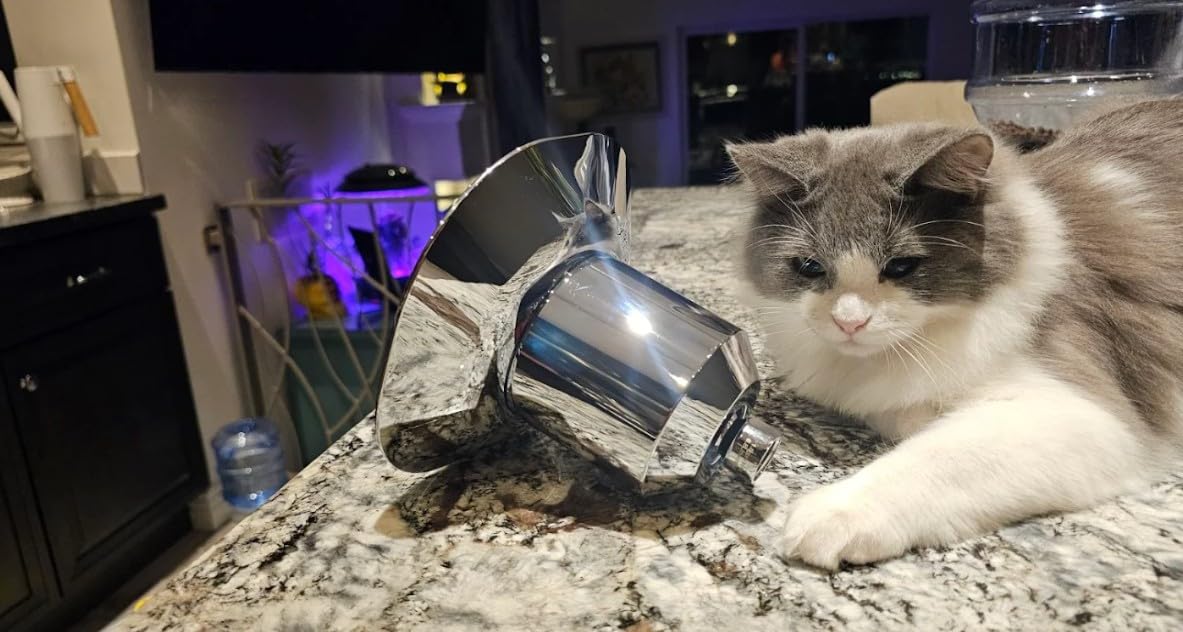 Afina Filtered Shower Head - Water Softener Showerhead with KDF-55 Shower Filter for Hard Water - High Pressure Rain Fall Experience - Universal Fit (Brushed Nickel) - Customer Photo 2