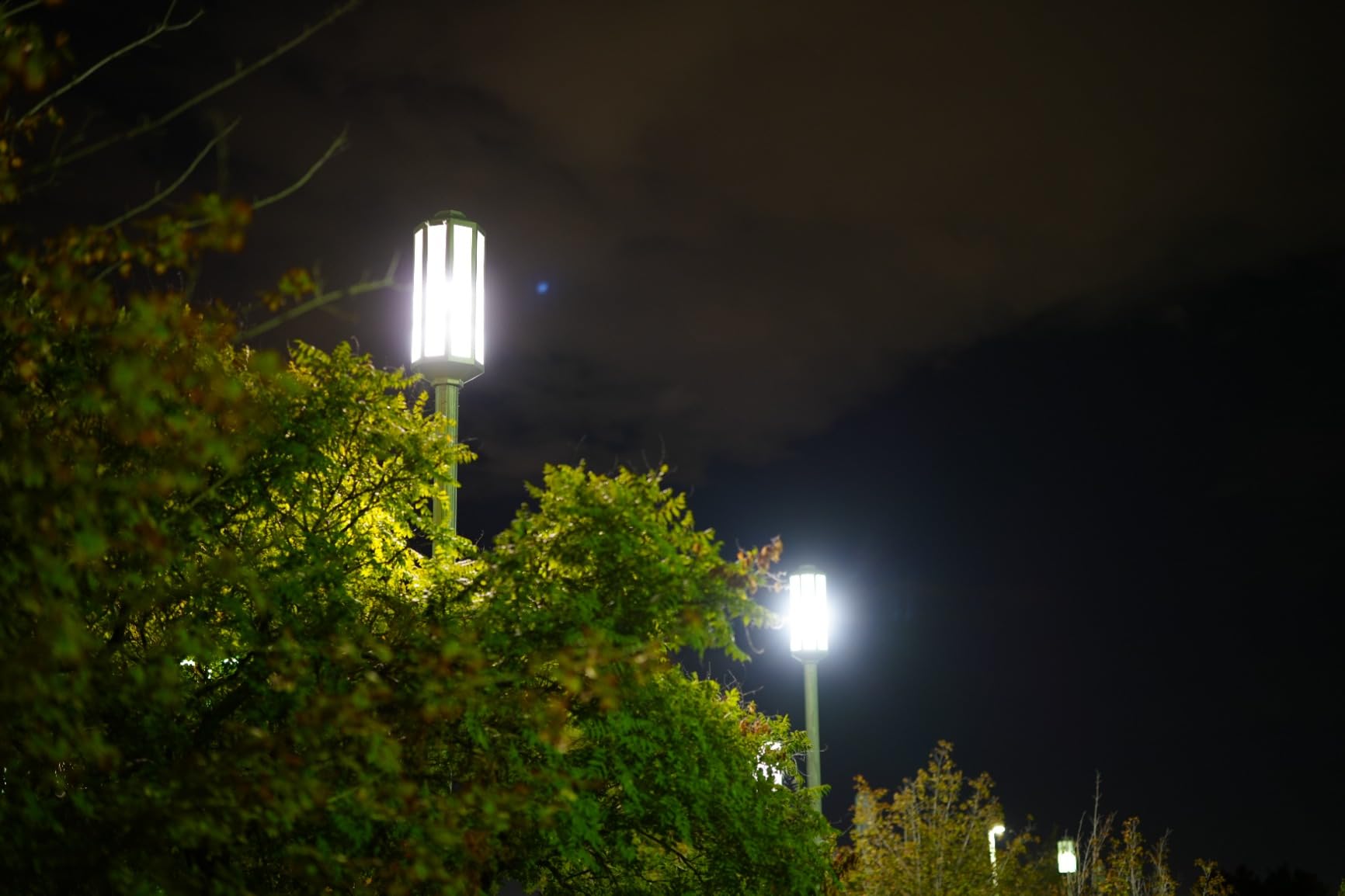 Sigma 50mm F1.2 DG DN for Sony E customer photo 1
