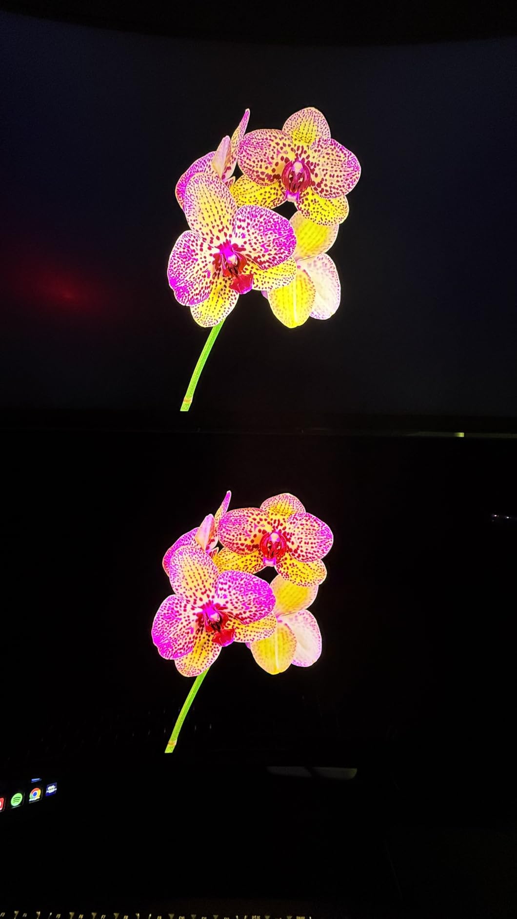 Alienware AW2725DF OLED Gaming Monitor - 26.7-inch Quantom-Dot WQHD (2560x1440) 360Hz 0.03Ms Display, AMD FreeSync Premium Pro, HDMI/DP/USB 3.2 Gen1, Height/Tilt/Swivel/Pivot Adjustability - Black - Customer Photo 3