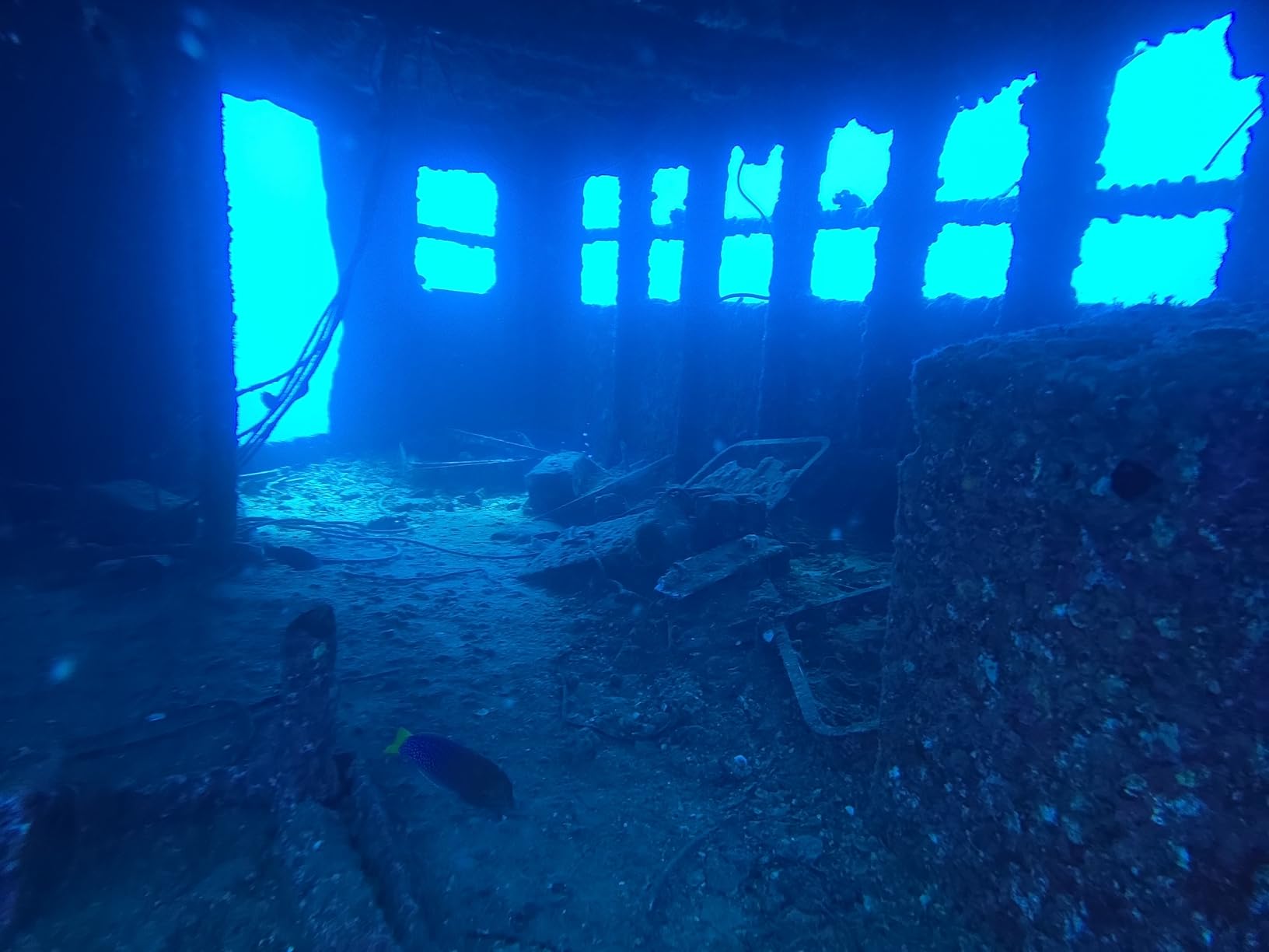 SeaLife SportDiver Ultra Underwater Smartphone Scuba Housing - Dive to 130', Waterproof Photography, Easy Camera Controls, with Leak Alarms, Fits Most Phones customer photo 2