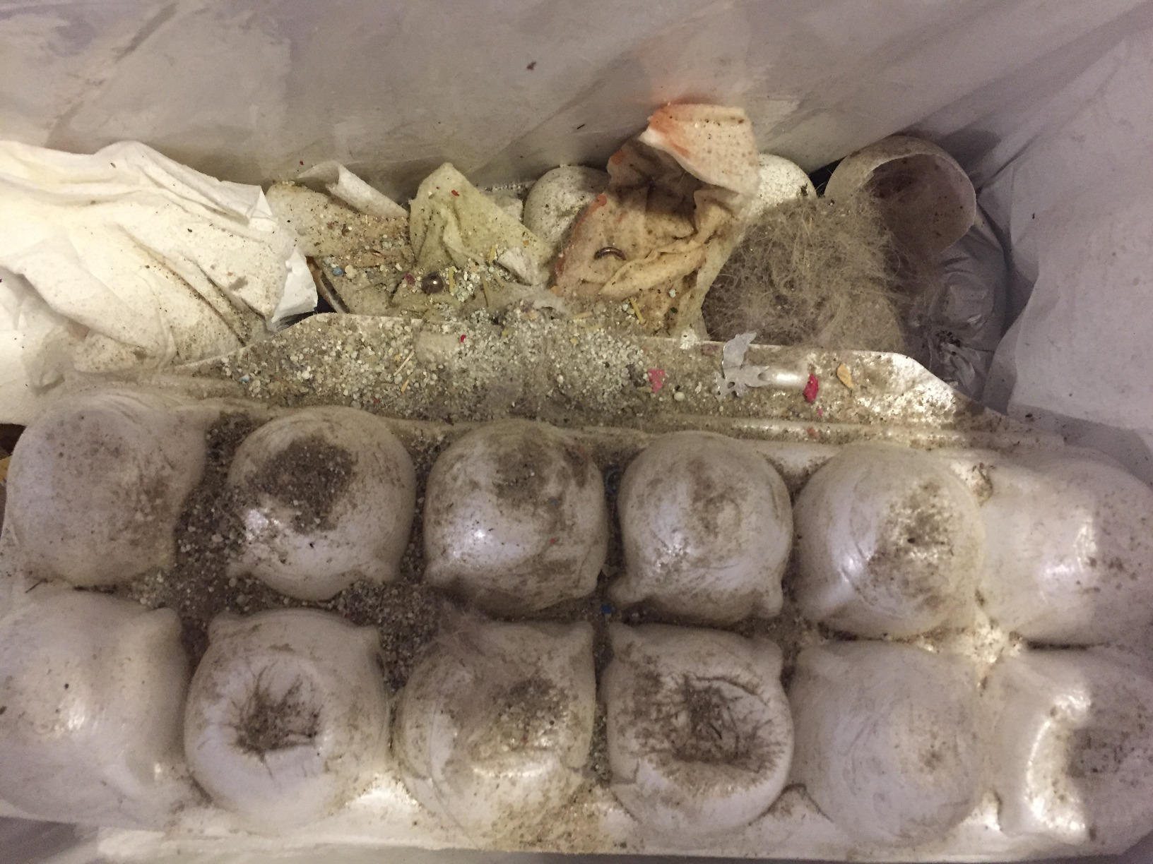 Tineco A20 Cordless Stick Vacuum Cleaner, Powerful Suction, 3 Modes for Multi-Level Messes, 1L Larger Dustbin, Ergonomic Dual-Handle Design, Wall-Mount Dock, LED Headlight - Customer Photo 1