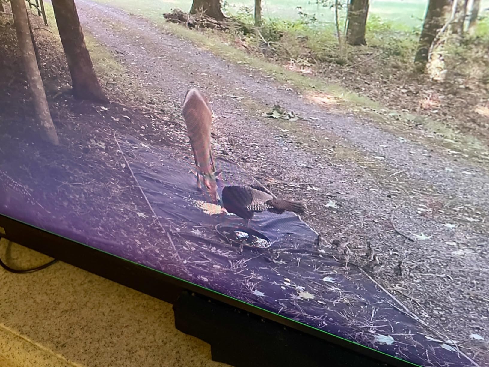 SAMSUNG 27-Inch ViewFinity S7 (S70D) Series 4K UHD High Resolution Monitor with HDR10, Multiple Ports, Easy Setup Stand, Advanced Eye Care, LS27D702EANXGO, 2024 - Customer Photo 2