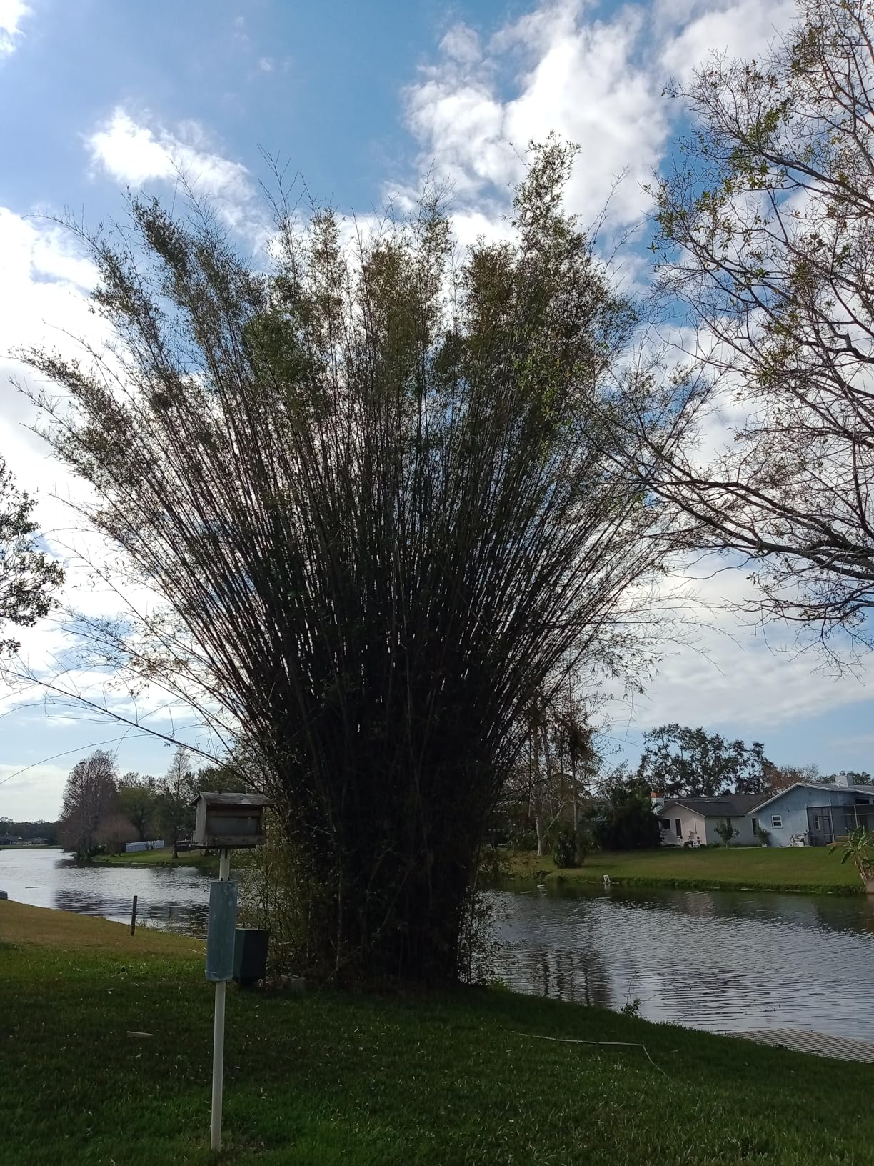 Product - Customer Photo 2