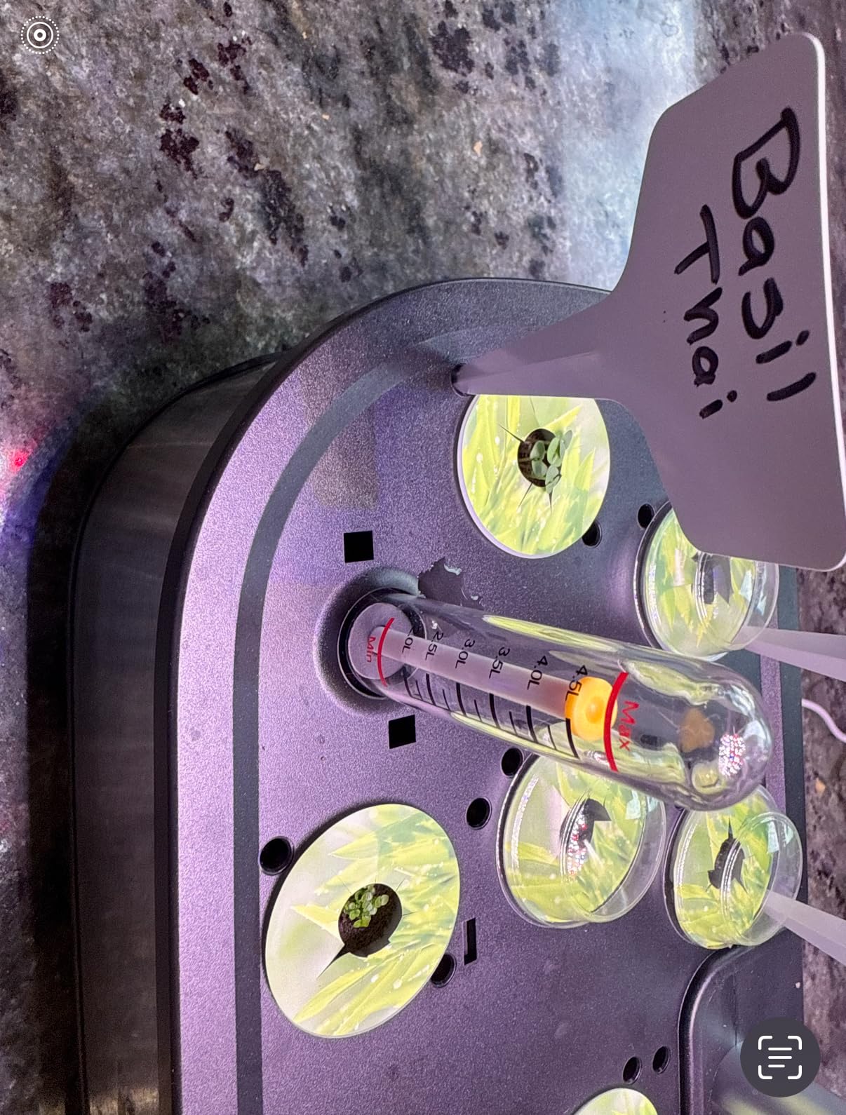 LetPot LPH-Air Hydroponics Growing System Kits, APP & WiFi Controlled Smart Indoor Garden with Adjustable 24W Grow Light Full Spectrum, 10 Pods Planter Indoor Gardening for Gifts, Kitchen, Vegetable - Customer Photo 2