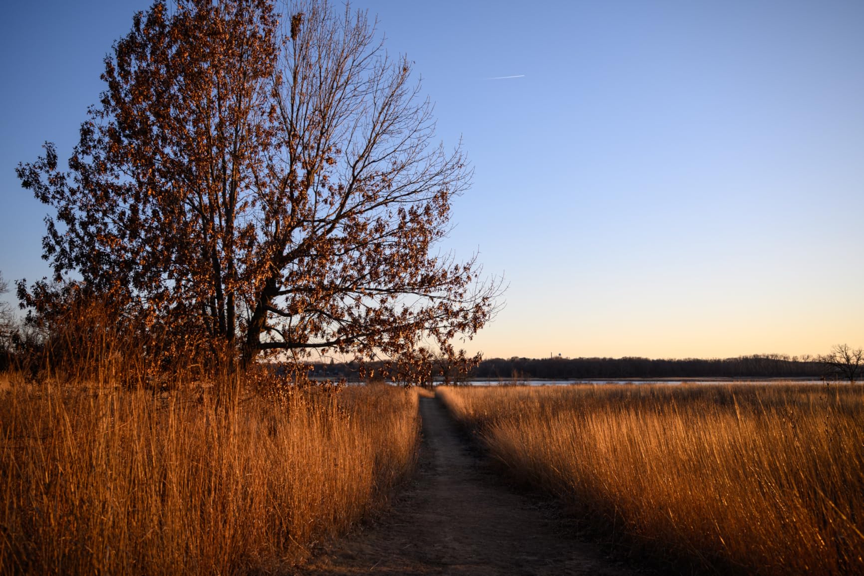 28-75mm F/2.8 Di III VXD G2 for Nikon Z Mount Mirrorless Cameras (6 Year Limited USA Warranty) - Customer Photo 2