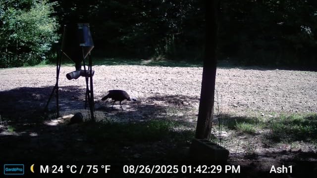 GardePro X50S Cellular Trail Camera (Non‑WiFi), Preloaded SIM Card, Shared Data Plan, Camera Sharing, 100ft No-Glow IR, 0.1s Trigger, Motion Detection - Customer Photo 1