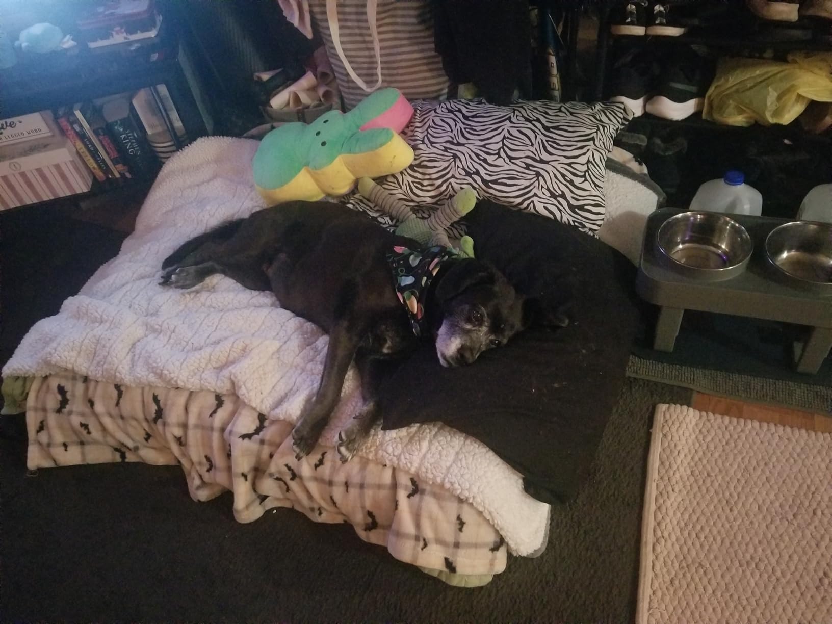 DUMOS Memory Foam Mattress Topper Full, 3 Inch Thick Gel Infused Bed Toppers for Full Size Bed, Cooling Soft Mattress Pads for Sleeper Sofa, RV, Camper, CertiPUR-US Certified, Blue - Customer Photo 1