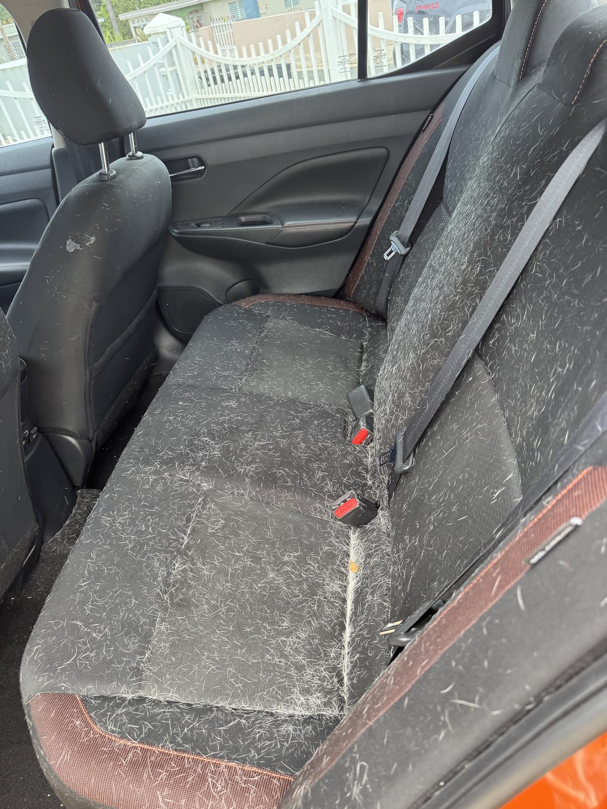 Vacmaster Professional Beast Series VFB511H 0201 5-Gallon 5.5 Peak HP Wet/Dry Vac, Black - Customer Photo 2