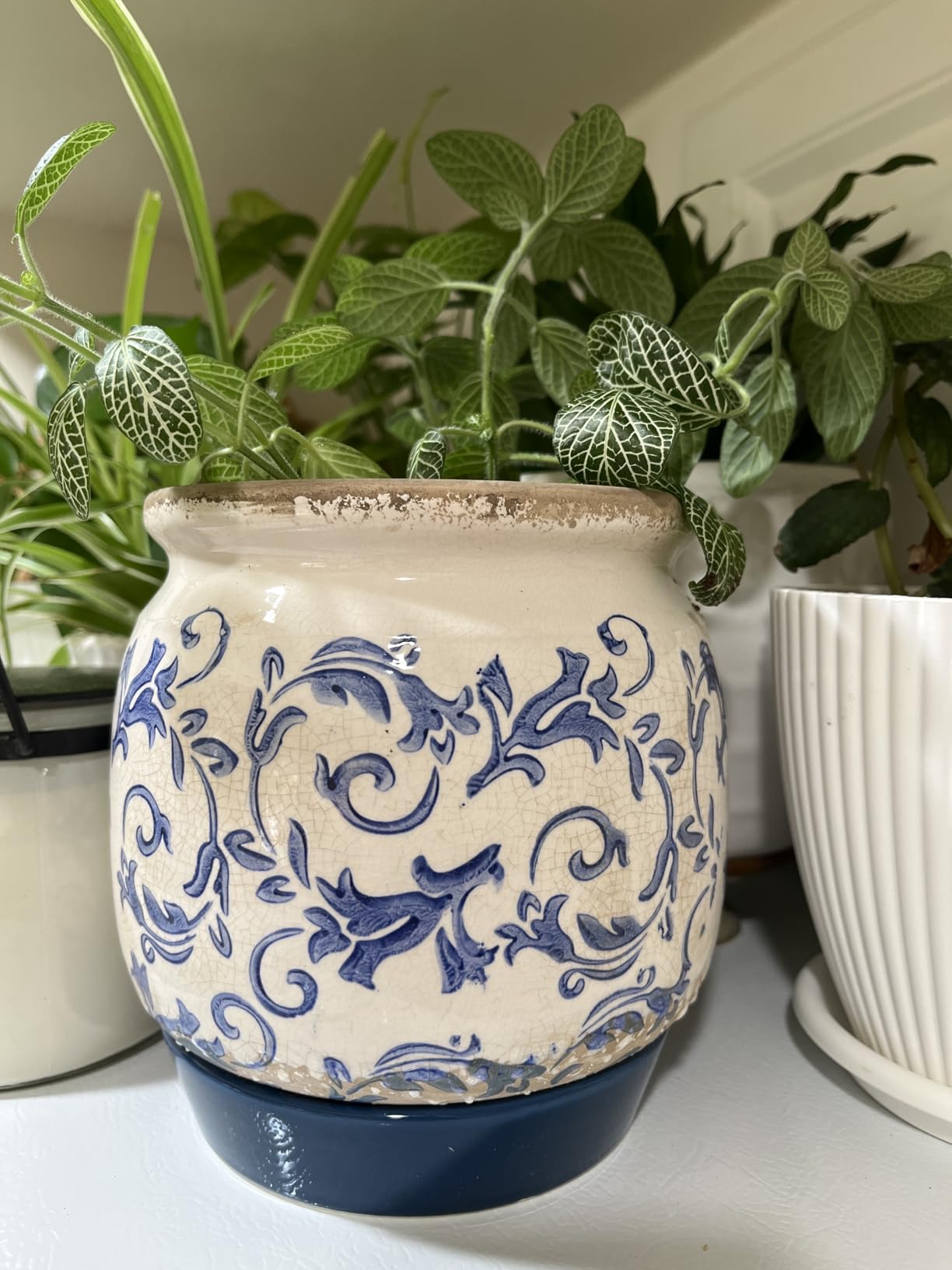 Vintage Grey Ceramic Ice Crack Flower Pot with Drainage Holes, Country Rustic Planters for Indoor and Outdoor, Tuscan Decor, Home, Living Room, Garden Decor, Gardening Gift - Customer Photo 2