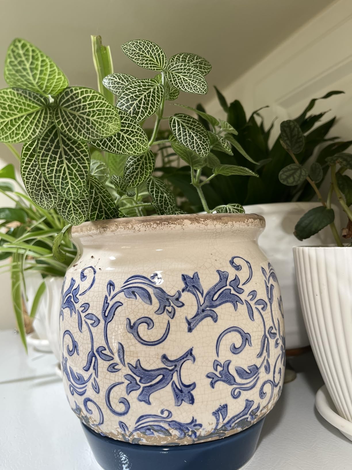 Vintage Grey Ceramic Ice Crack Flower Pot with Drainage Holes, Country Rustic Planters for Indoor and Outdoor, Tuscan Decor, Home, Living Room, Garden Decor, Gardening Gift - Customer Photo 4