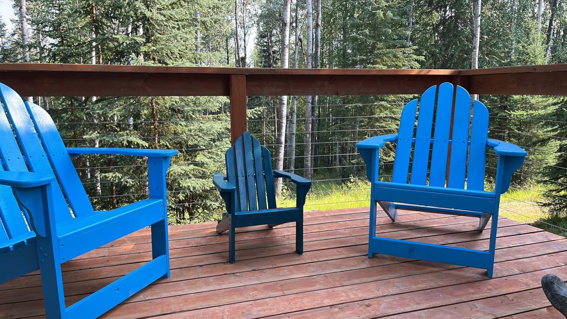 CELYND Stainless Steel Cable for Railing - 500FT 1/8