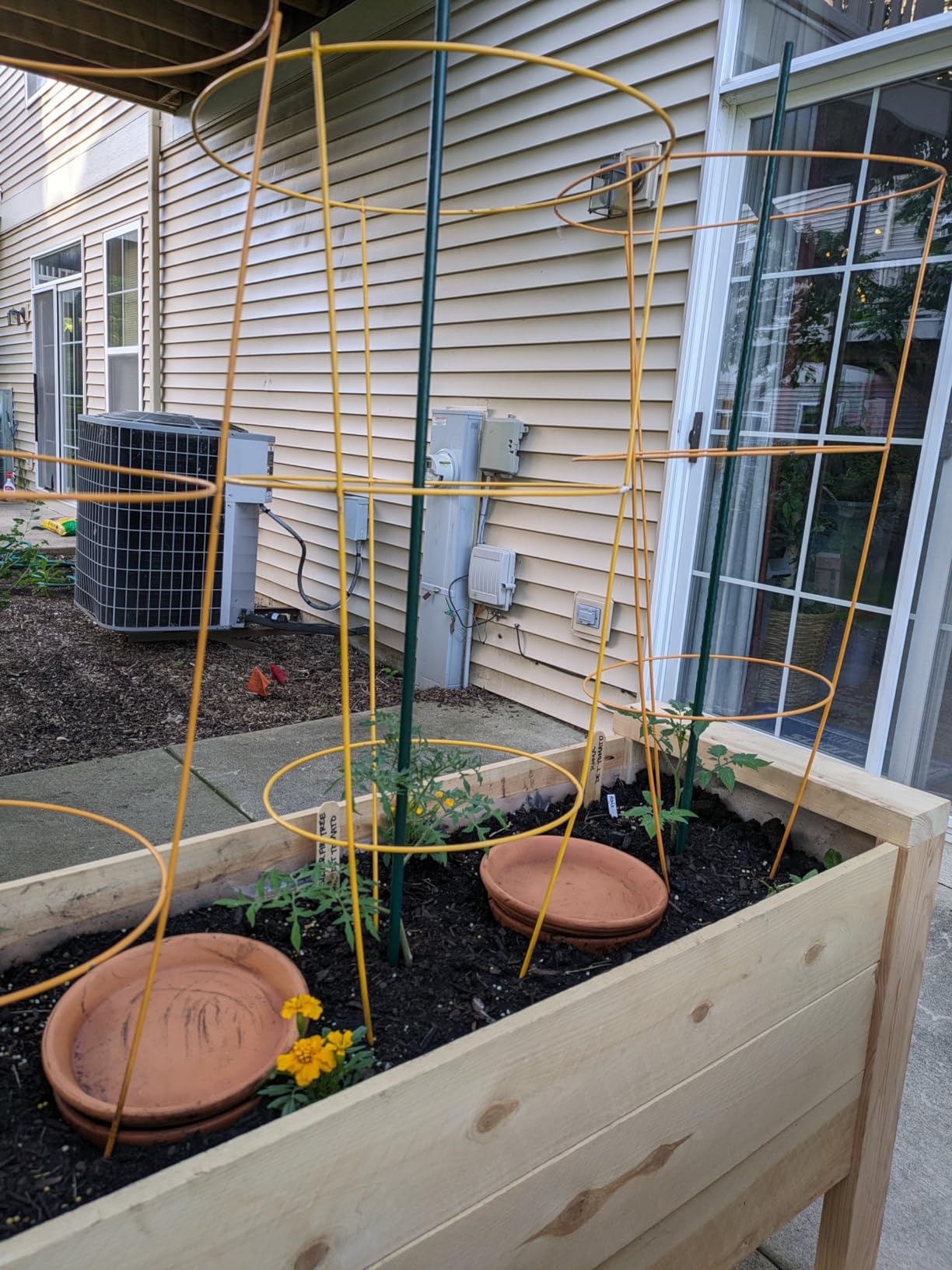 INGOFIN Terracotta Pot with Saucer - 10 Inch Ceramic Clay Pot for Plants with Drainage Hole, Large Terra Cotta Flower Planter with Tray for Indoor Outdoor Plants - Customer Photo 2