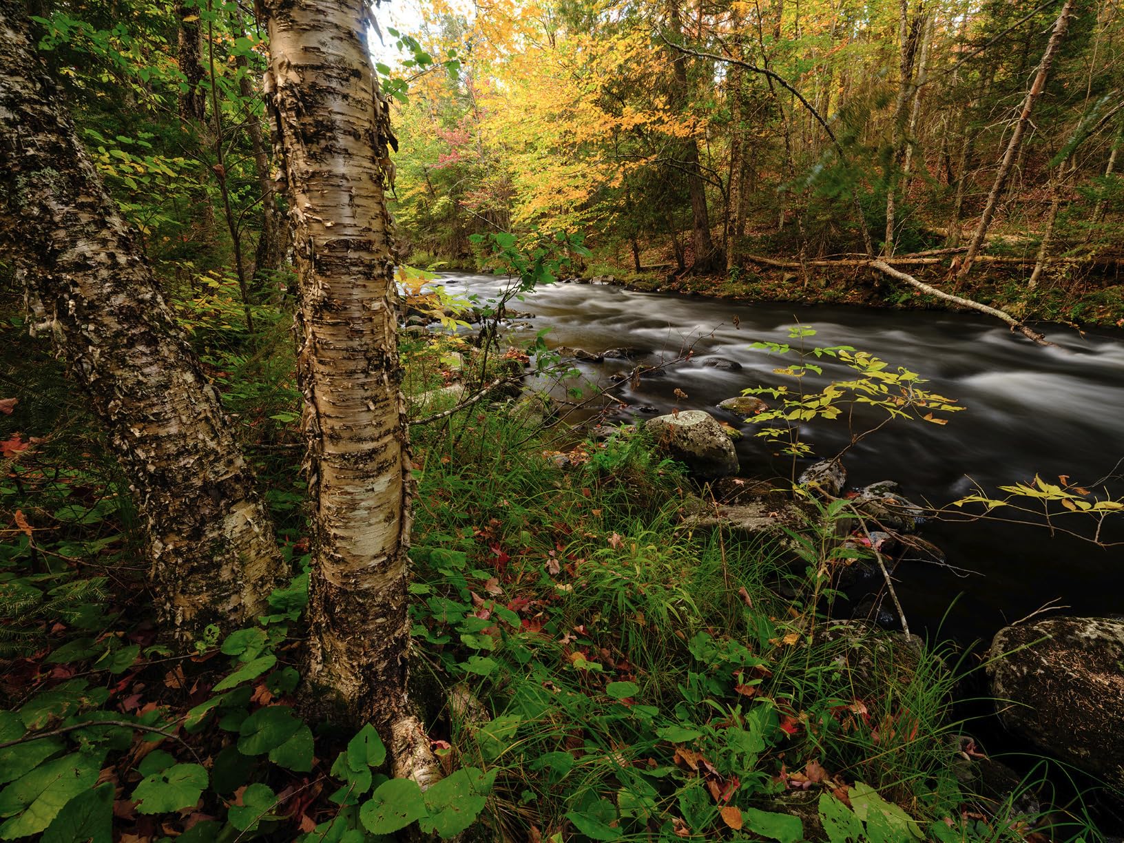 GFX100S II Body Mirrorless Medium Format Camera Body customer photo 1